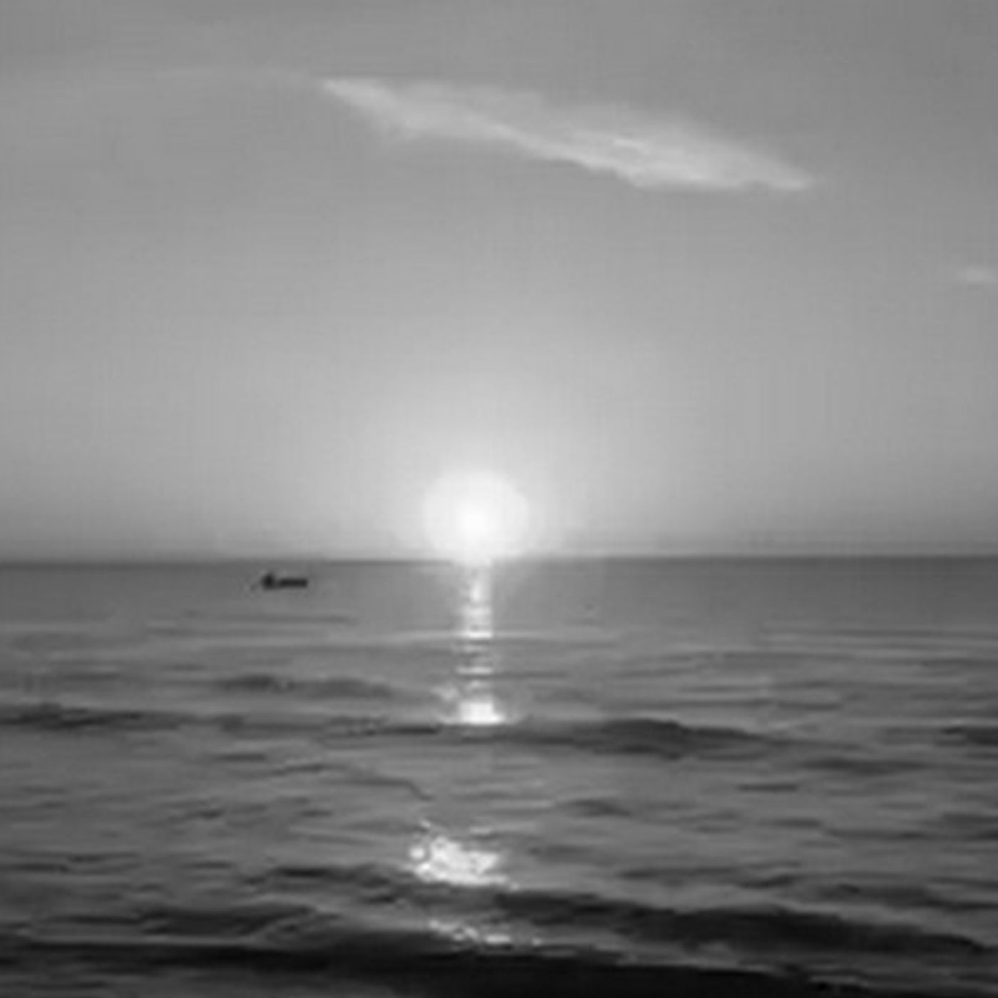 Tracce di Domenico Tota