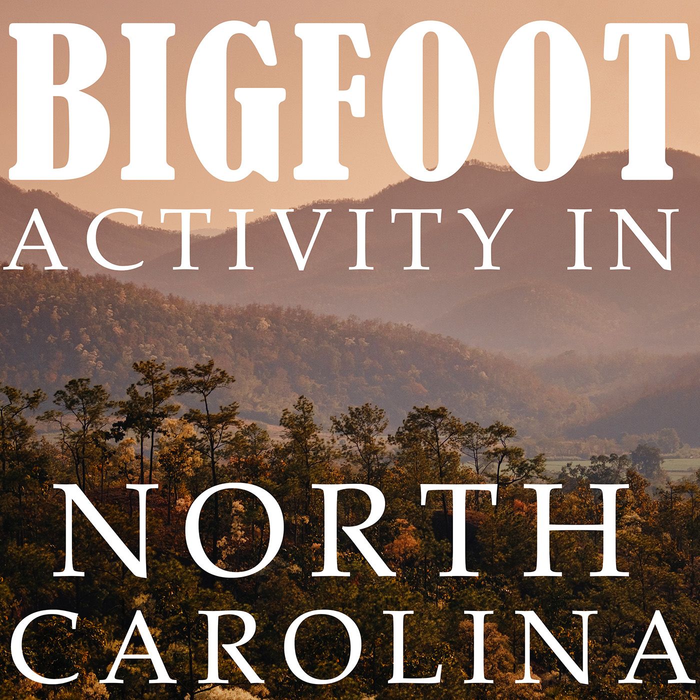 HAIR-RAISING BIGFOOT EXPERIENCES IN NORTH CAROLINA | WE KNEW IT WAS BIGFOOT