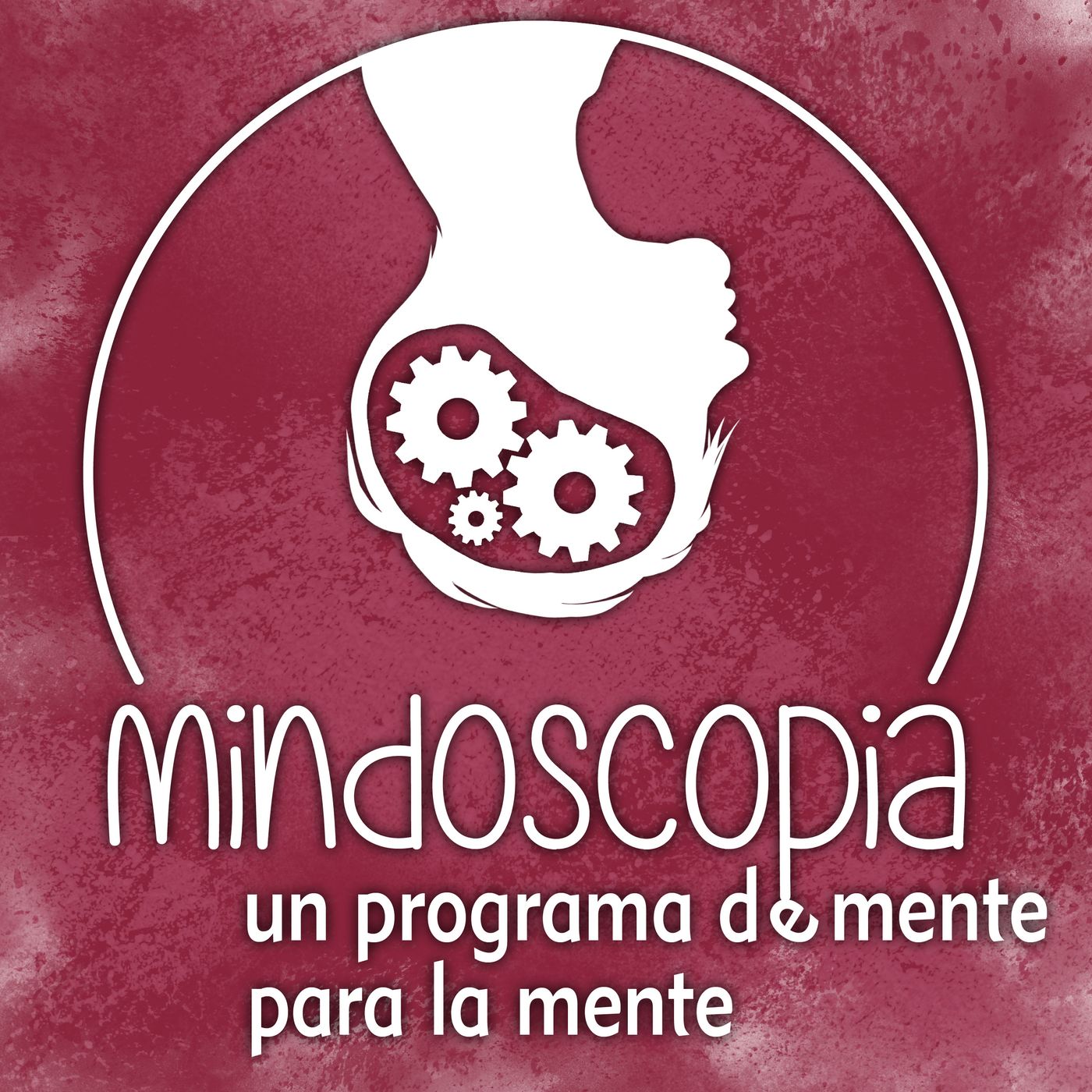 Mindoscopia | Reconexion Life