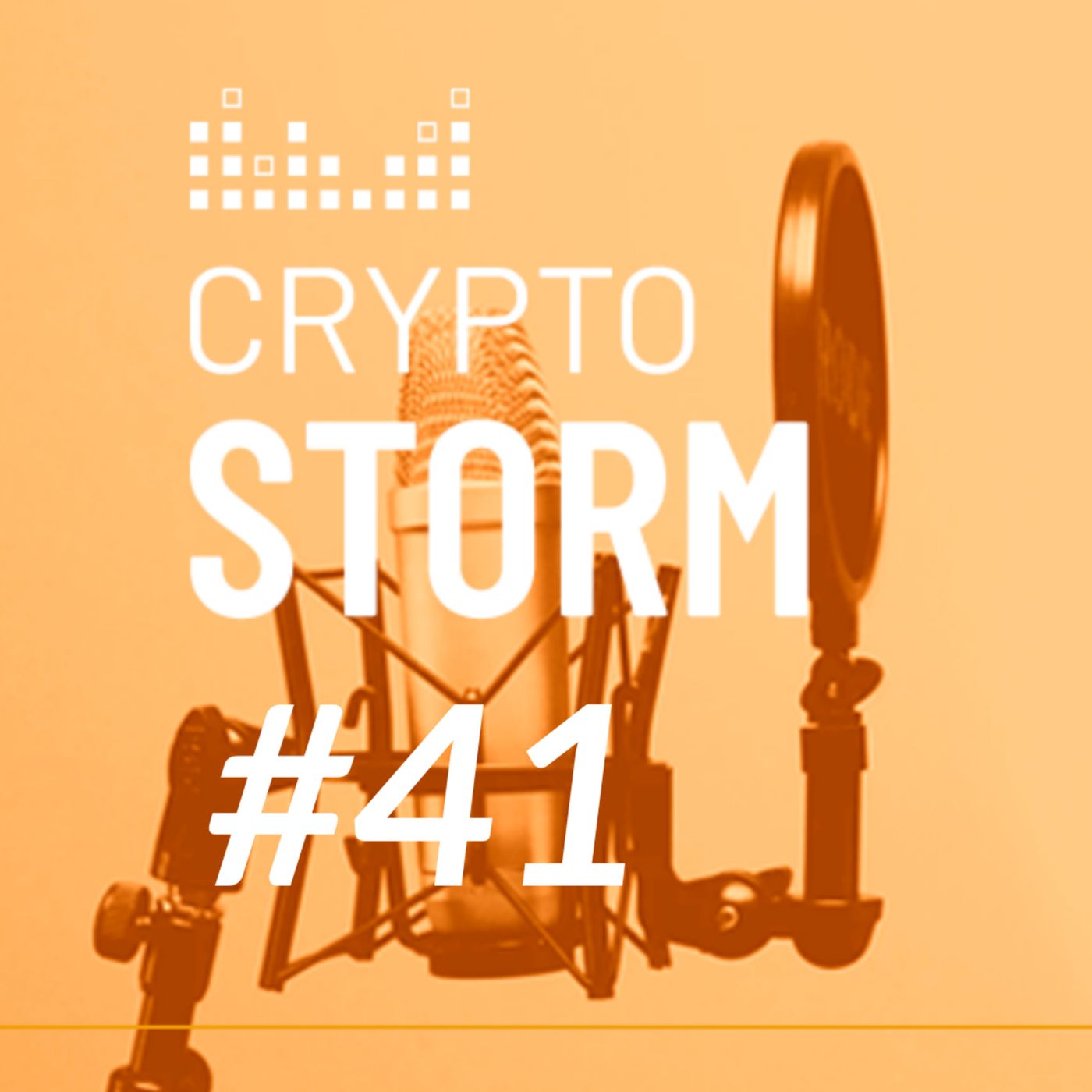 Crypto Storm