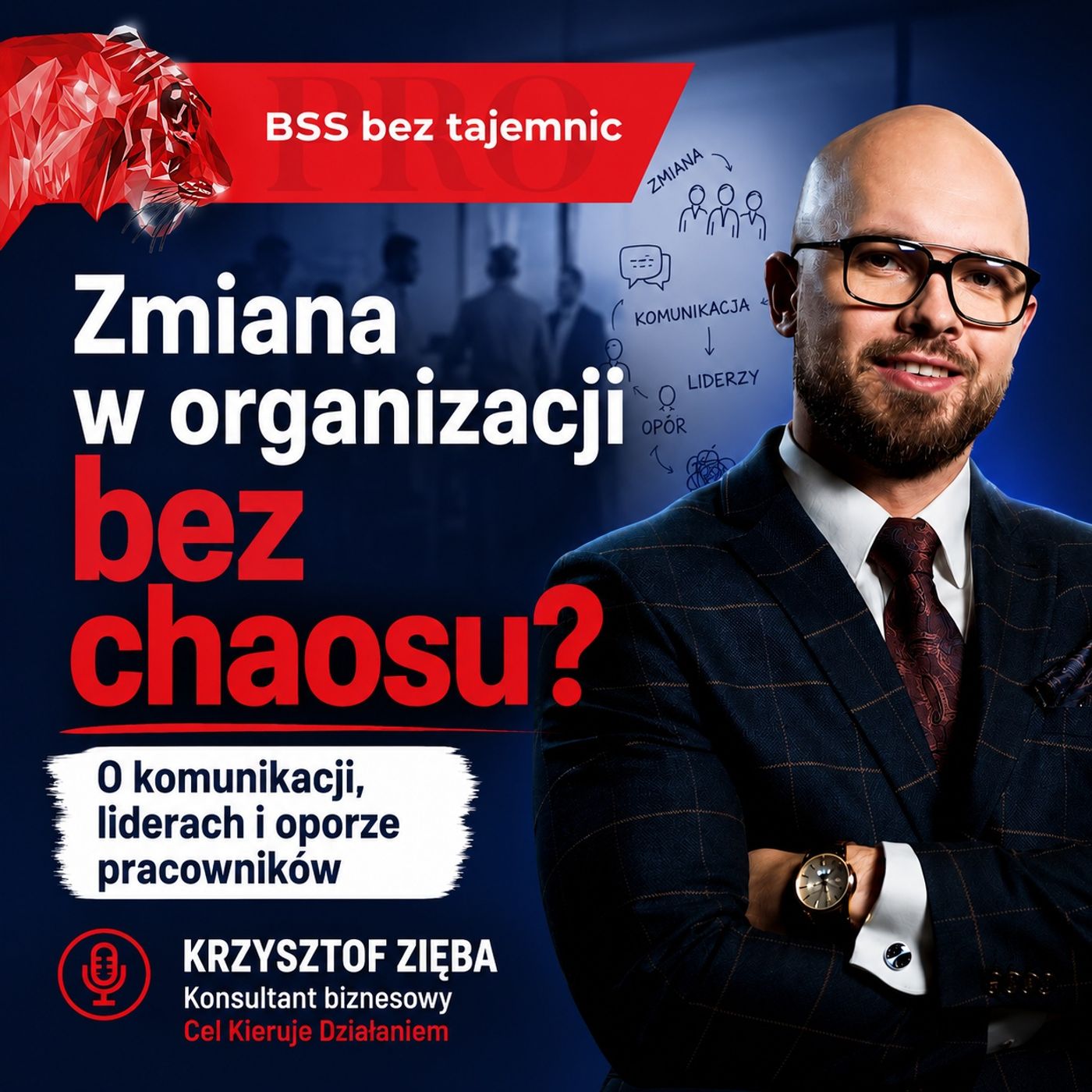 Zmiana w organizacji bez chaosu? O komunikacji, liderach i oporze pracowników episode artwork