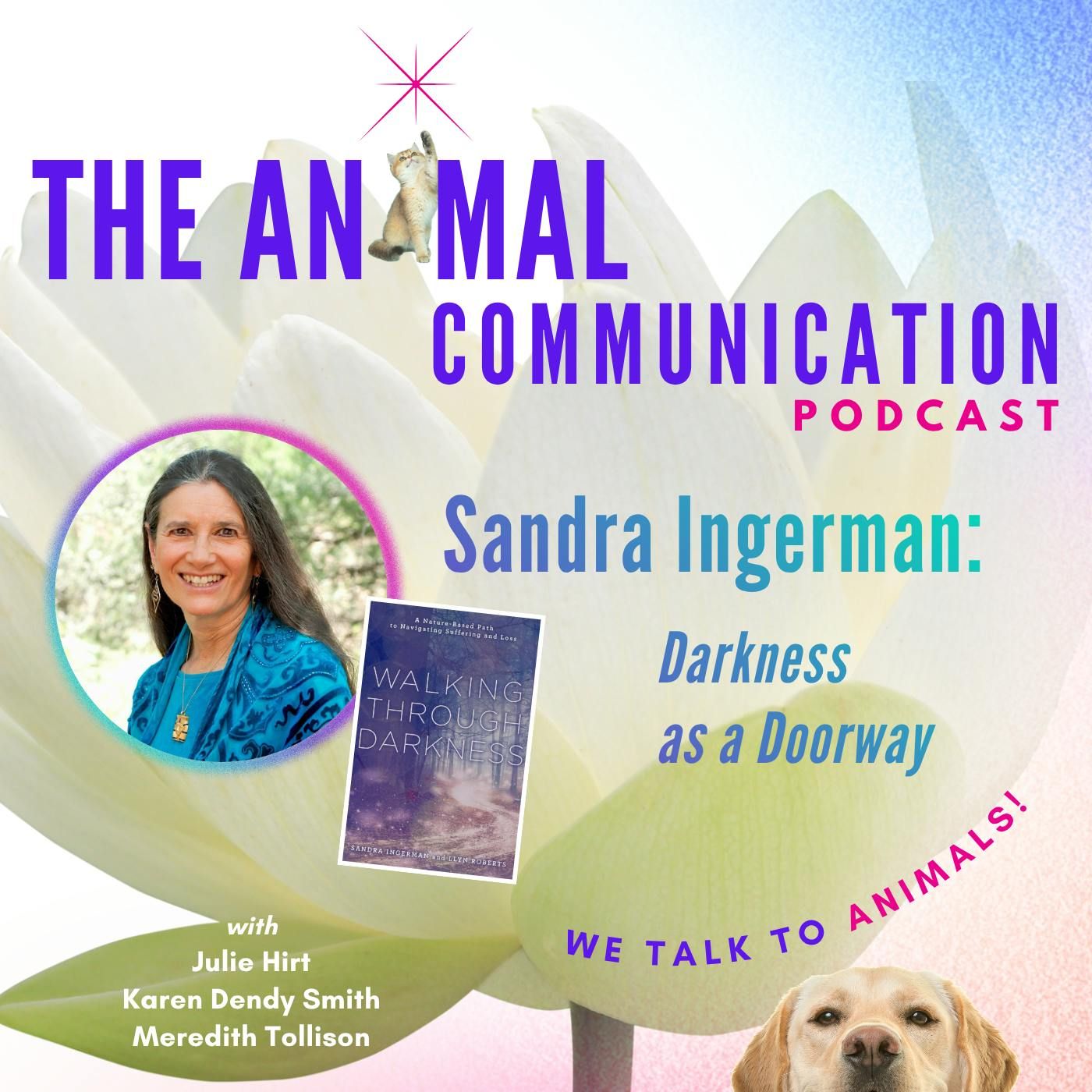 Darkness as a Doorway with Sandra Ingerman episode artwork