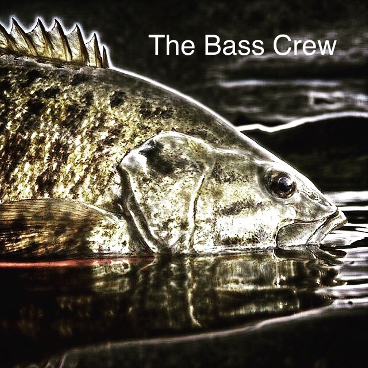 The Bass Crew