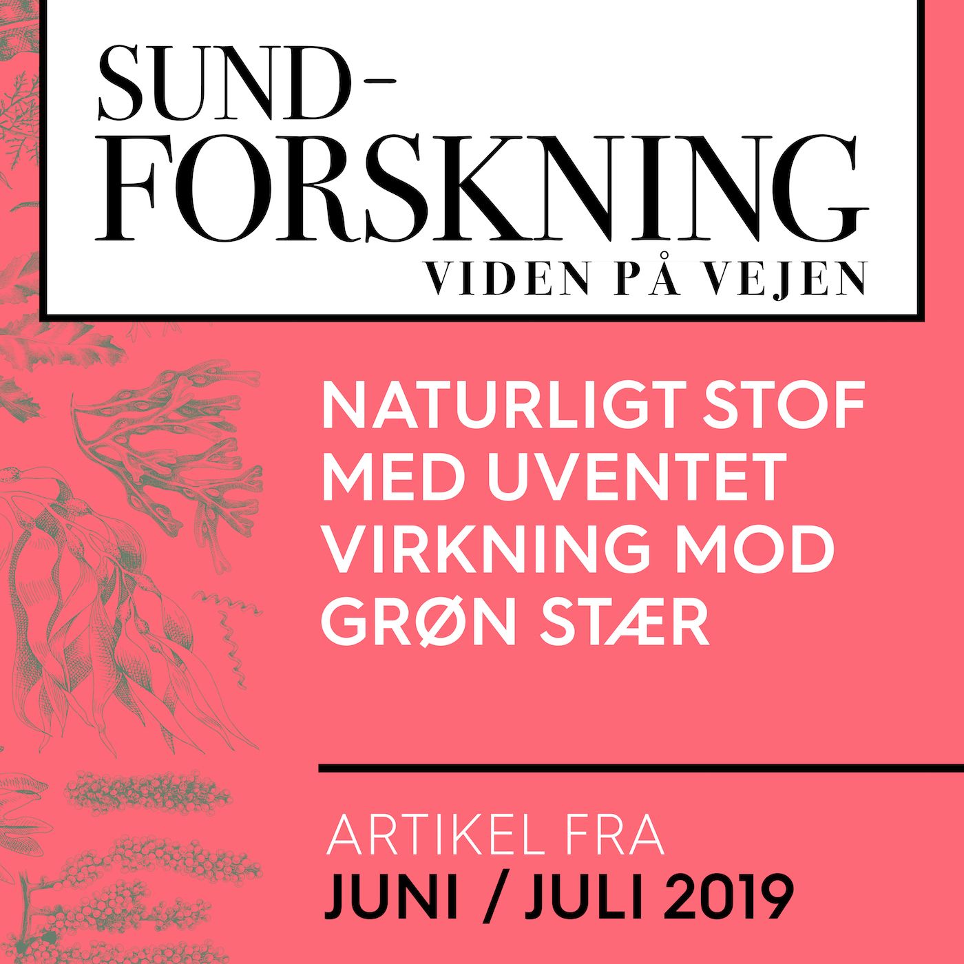 SUND-FORSKNING