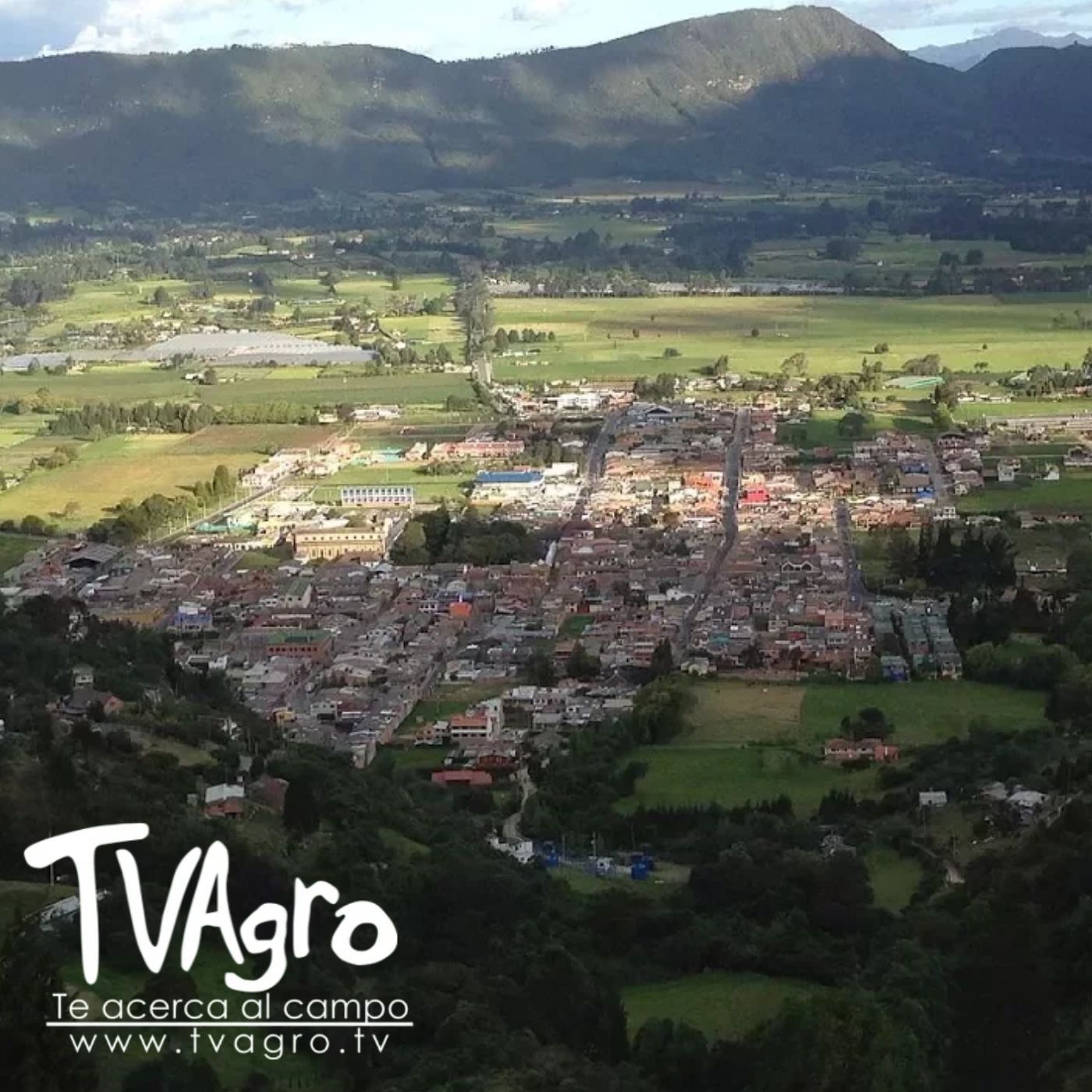TV AGRO