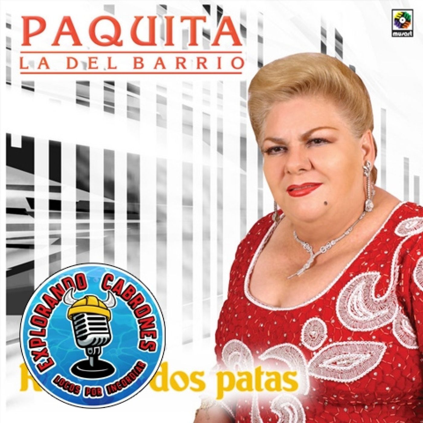 Explorando Versiones