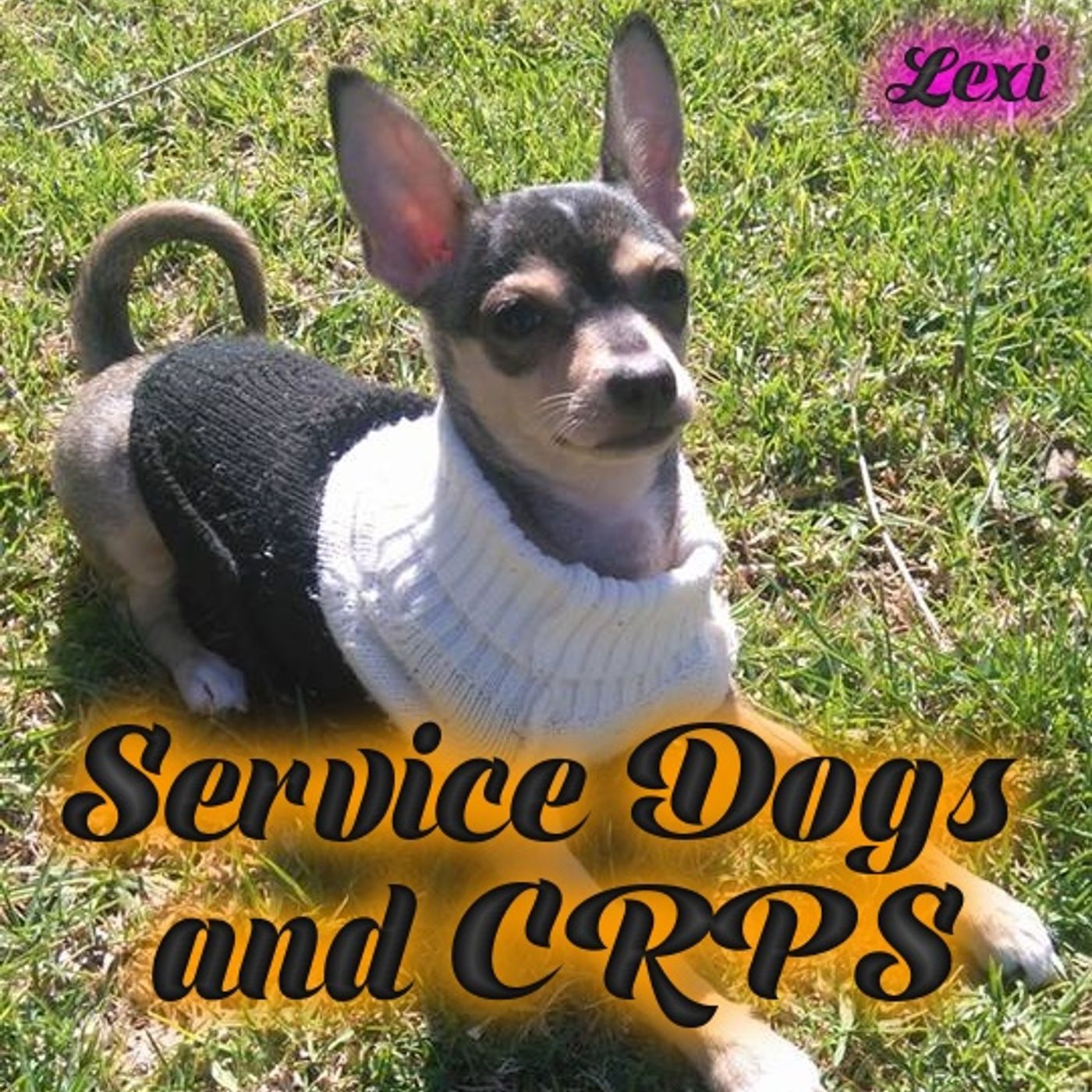 Service Dogs and CRPS episode artwork