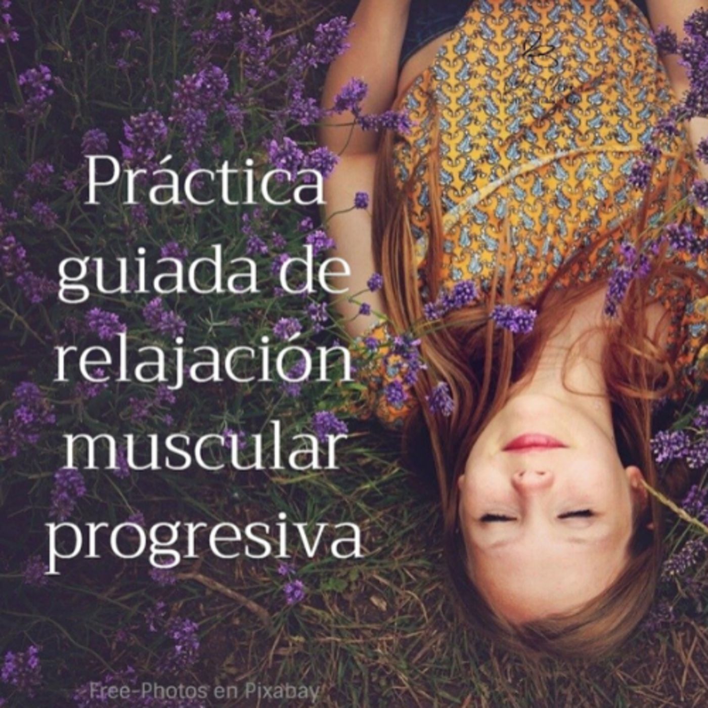 La pausa