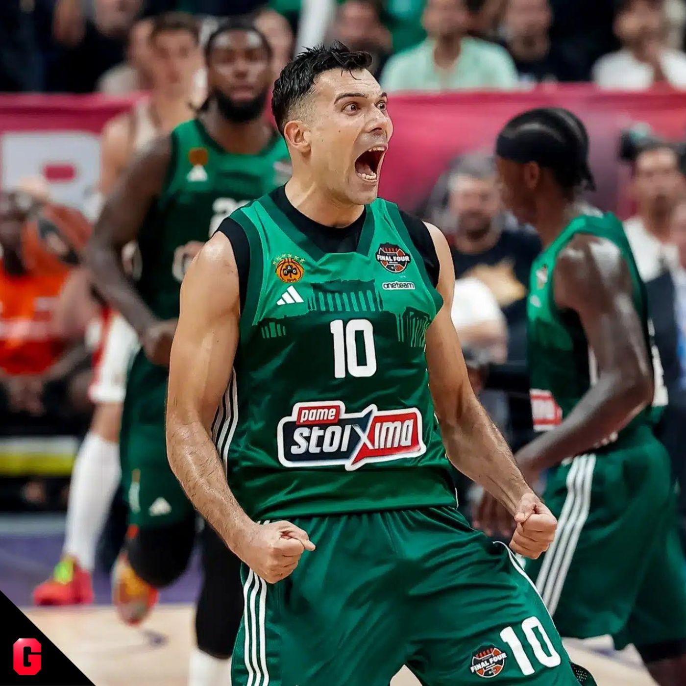Gigantes Daily, baloncesto al día