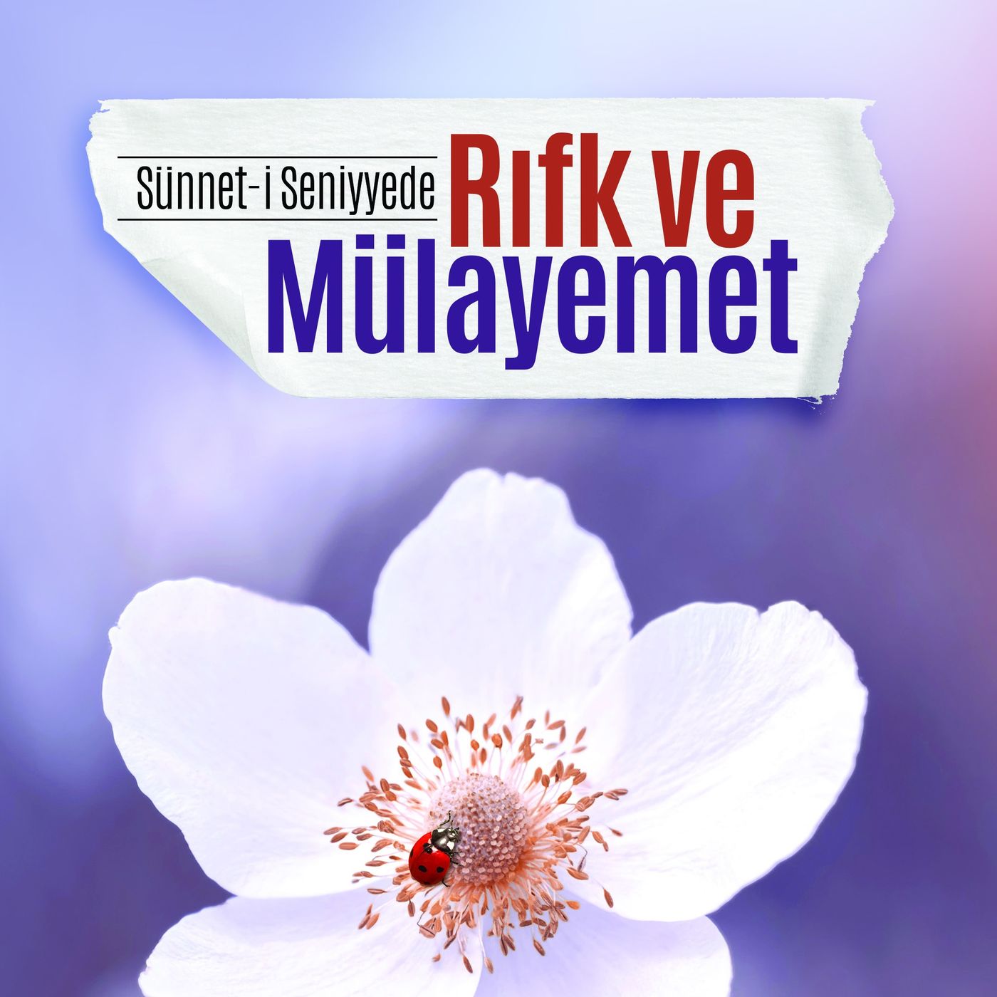 Sünnet-i Saniyede Rıfk ve Mülayemet episode artwork