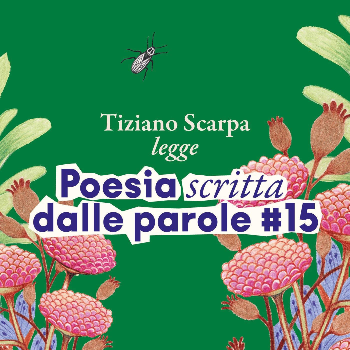 Tiziano Scarpa legge 'Poesia scritta dalle parole #15' episode artwork