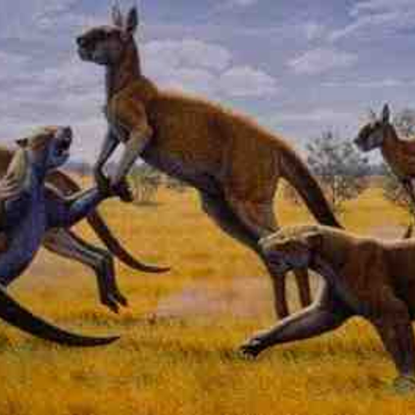 The Beasts Down Under - Australia Documentary episode artwork