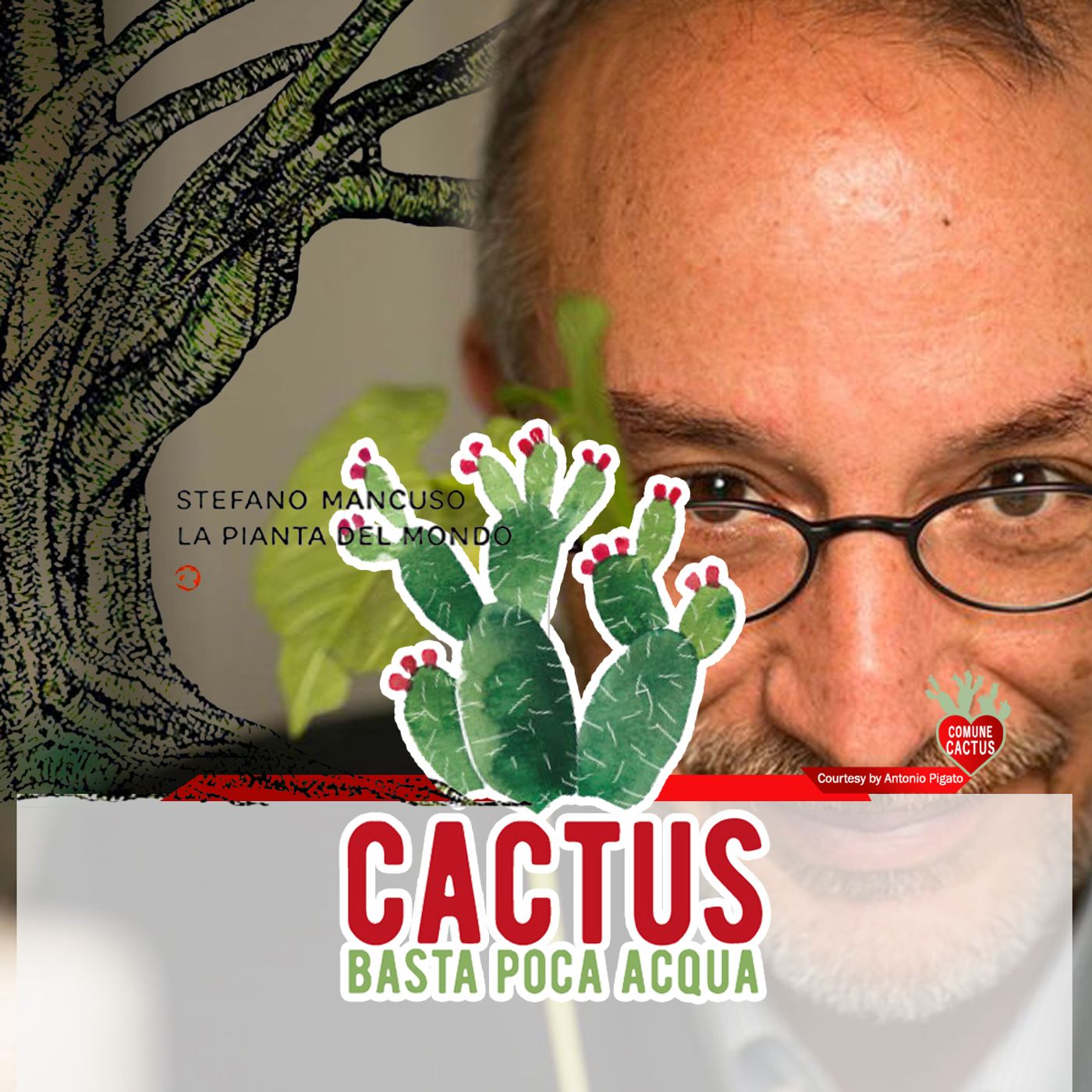 Cactus
