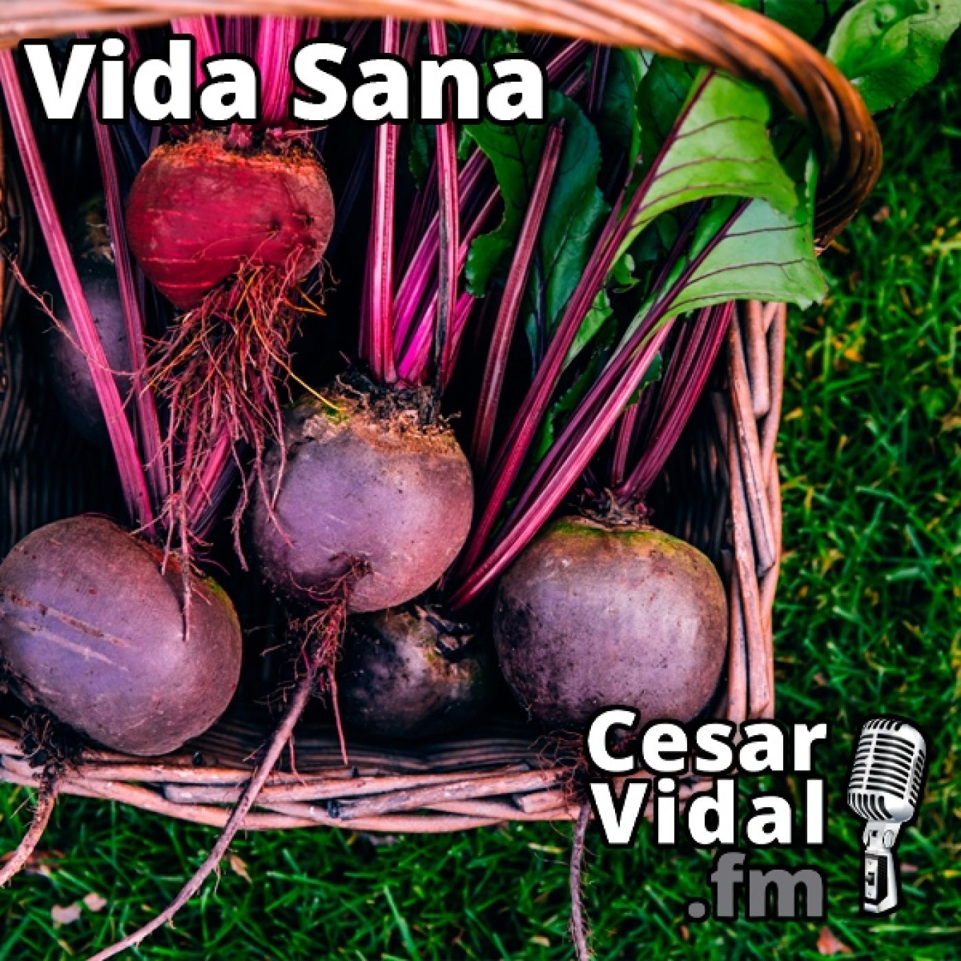 La Voz de César Vidal