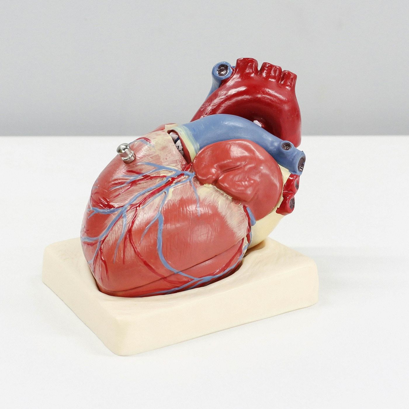 🫀 Organs on Demand: The Future of Transplant Medicine episode artwork