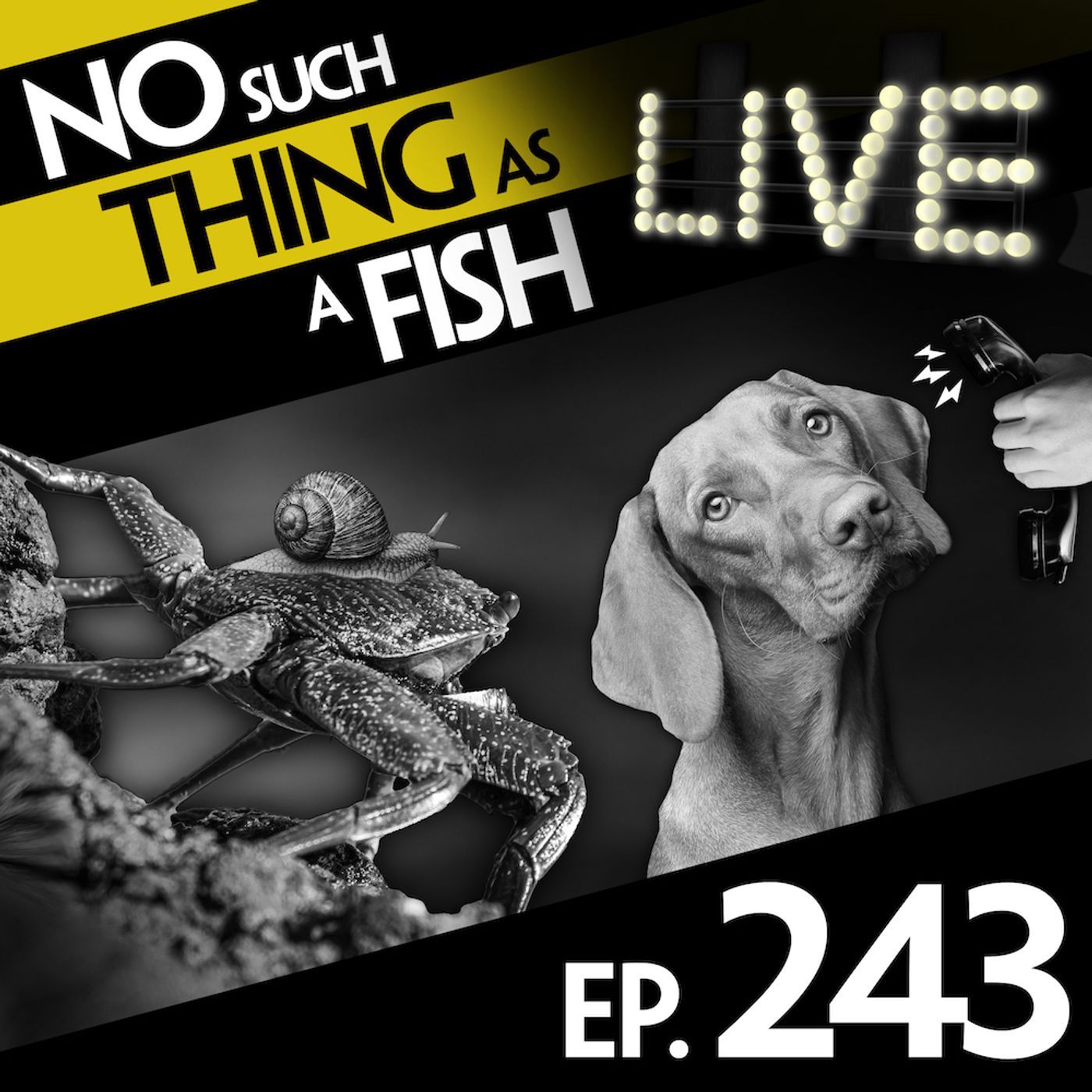 No Such Thing As Jean-Paul Sartre's Crabs episode artwork