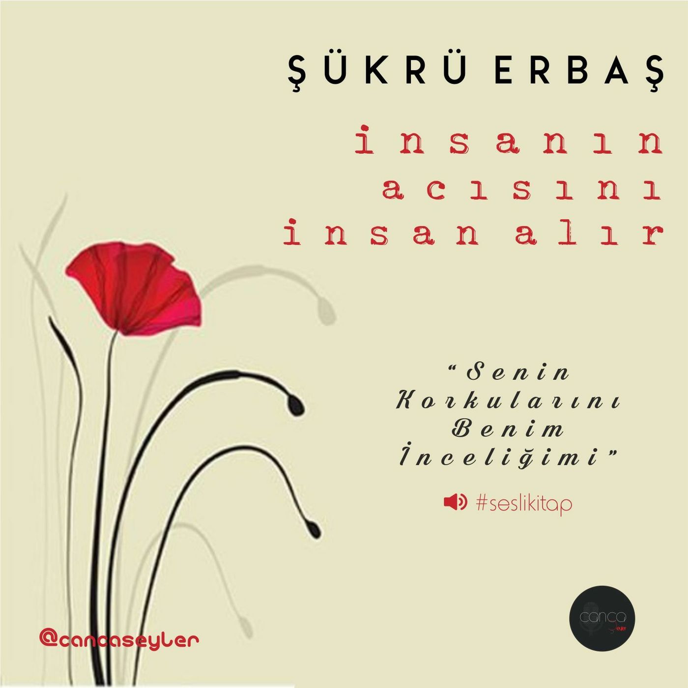 Şükrü Erbaş - Senin Korkuların Benim İnceliğim episode artwork