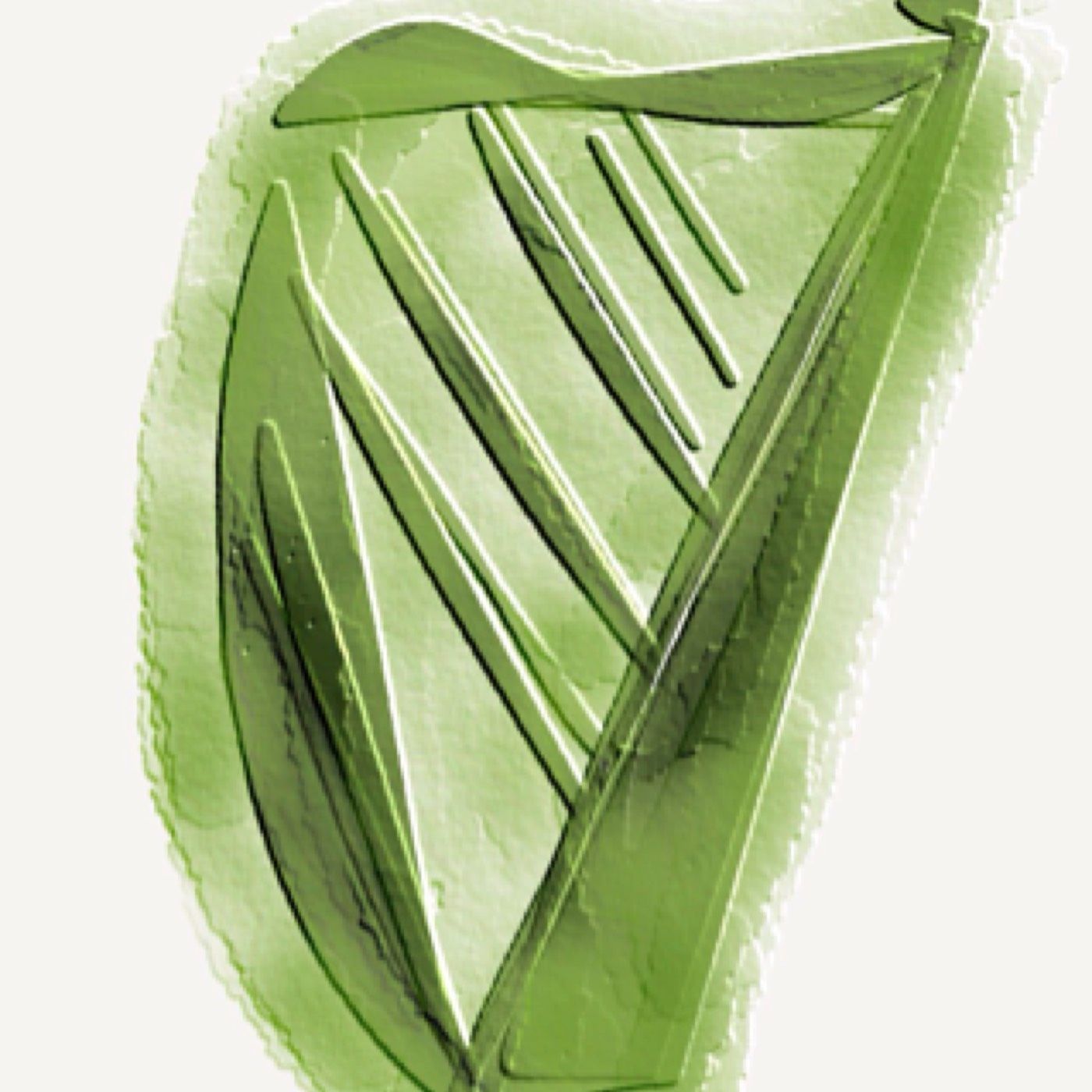 El Arpa English Academy