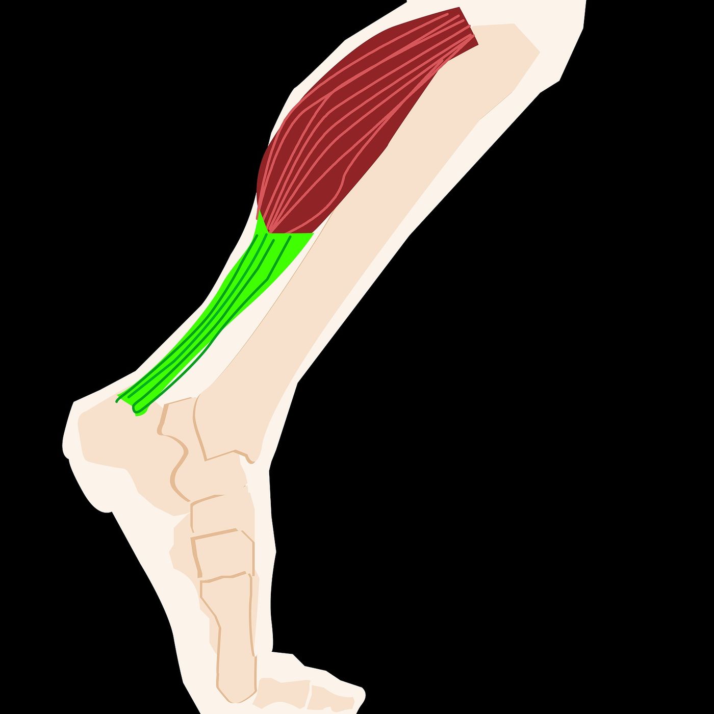 obiettivorunning