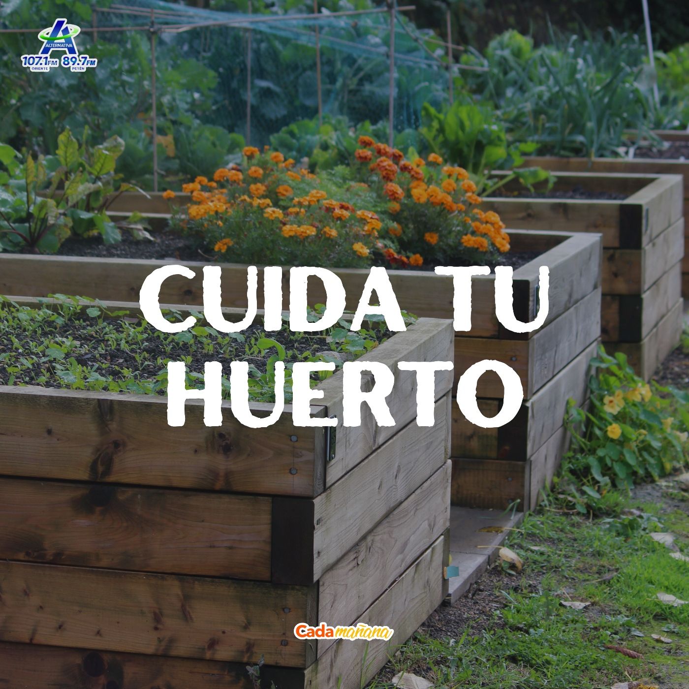 Cuida tu huerto episode artwork
