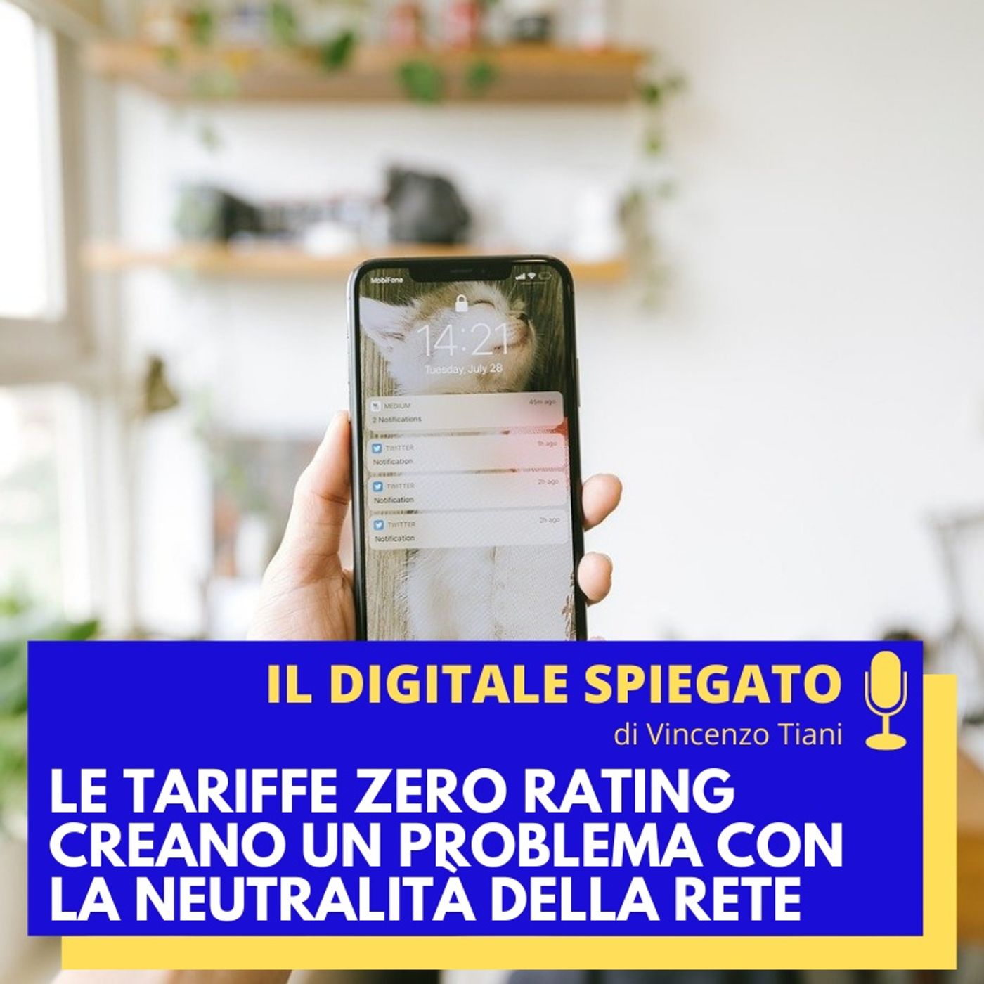 Vincenzo Tiani - Il Digitale Spiegato [ita]