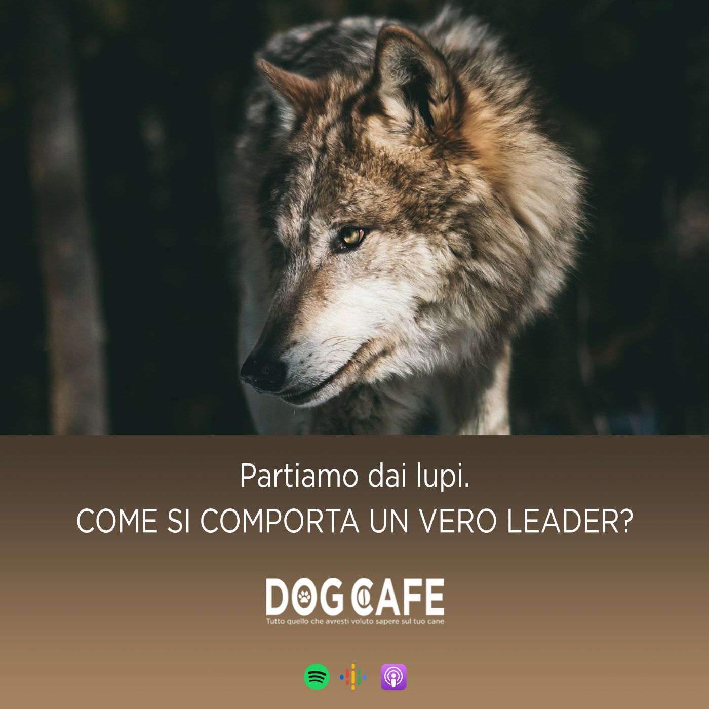 Dog Cafe Podcast