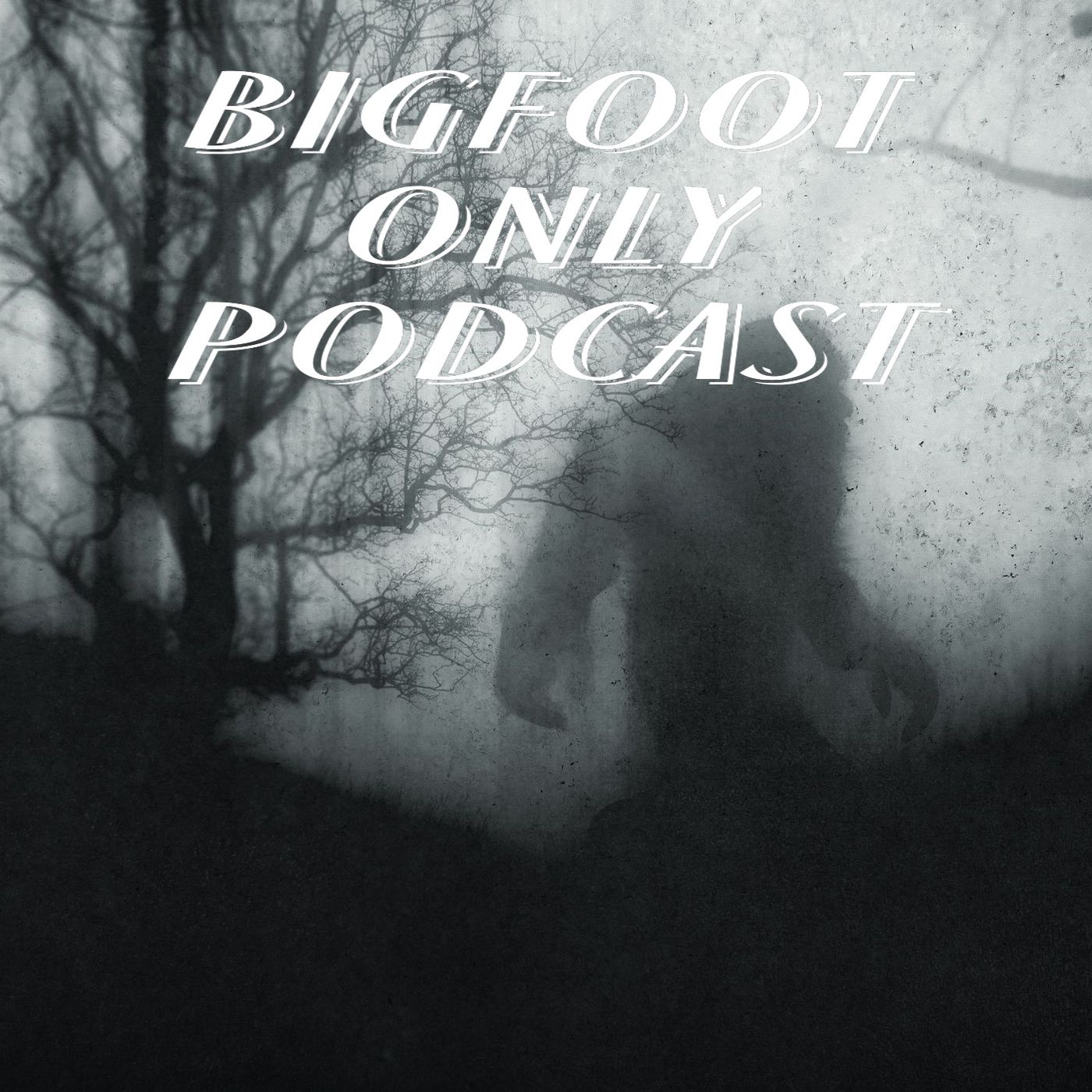 We talk about all things paranormal. Hauntings, UFOS, Bigfoot Dogman and more paranormal activity.