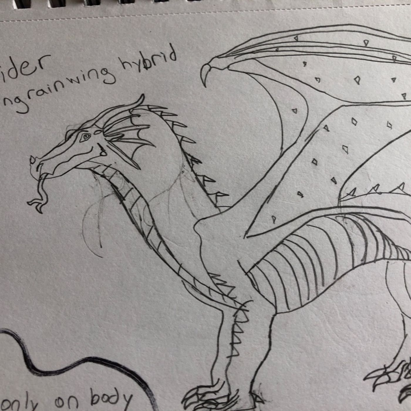 Treeglider asks for Coldnight’s opinions on Wings of Fire episode artwork