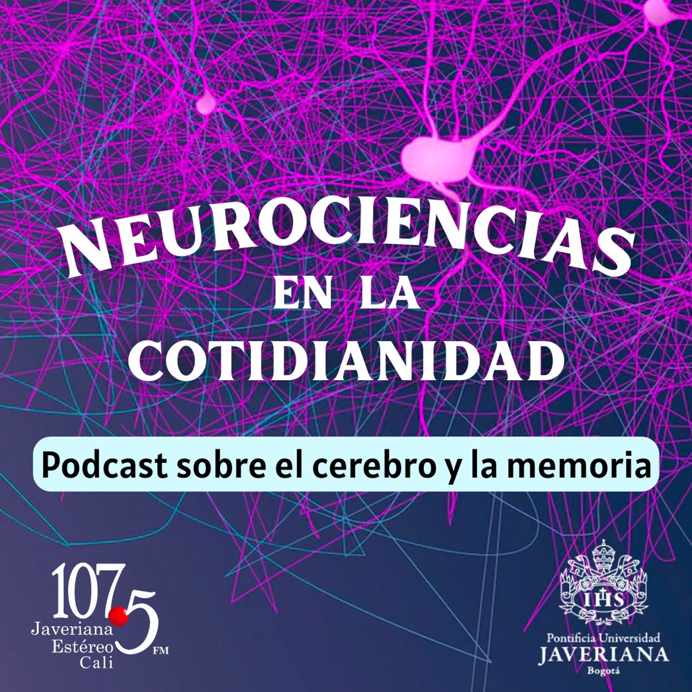 Neurociencias en la cotidianidad