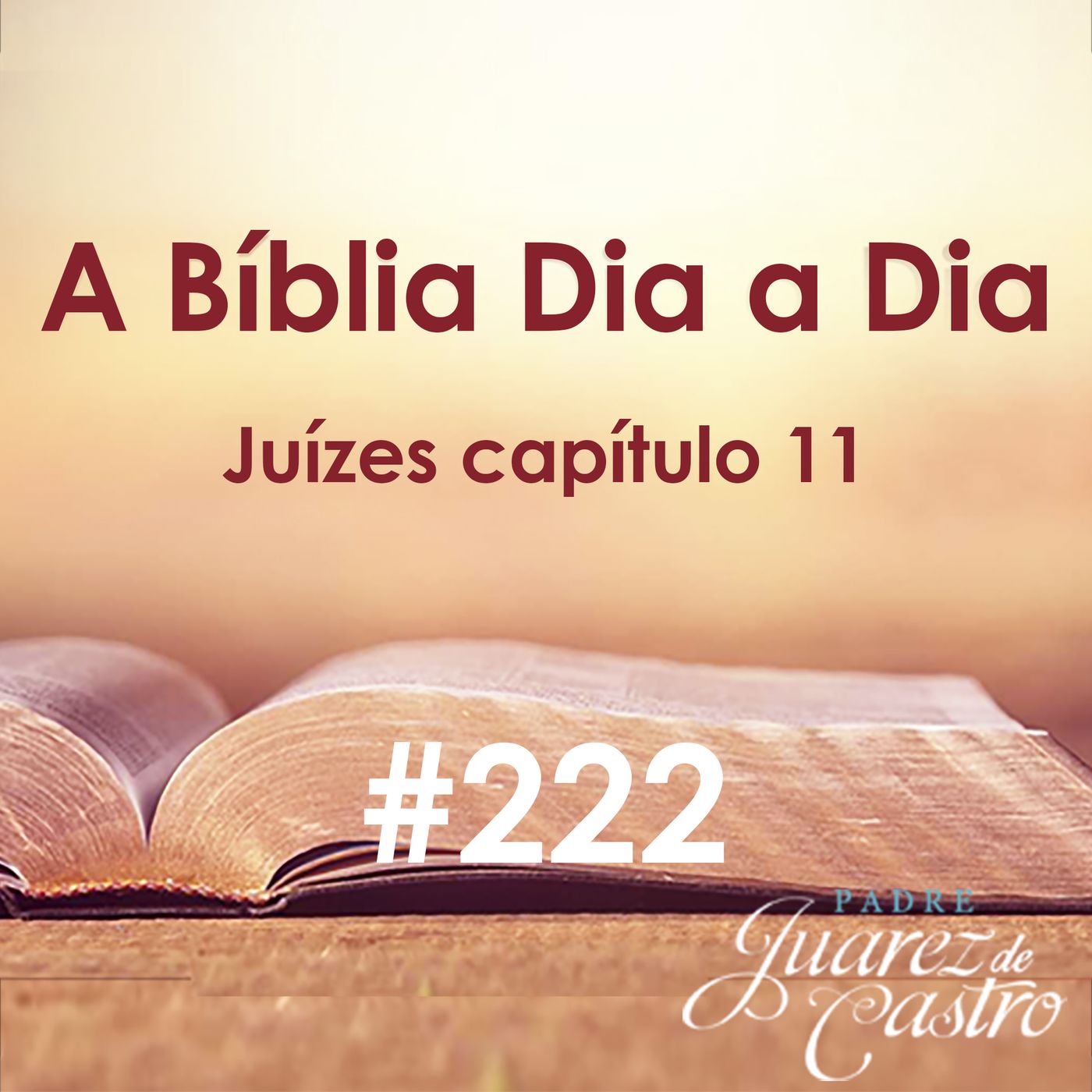 Curso Bíblico Padre Juarez