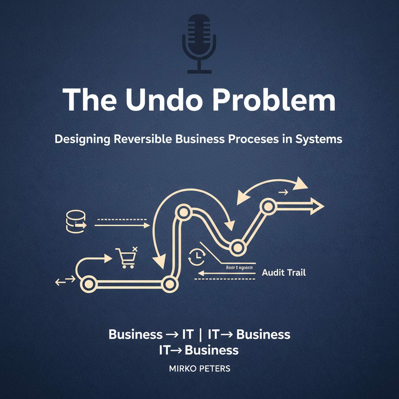 The Undo Problem: Designing Reversible Business Processes in Systems episode artwork