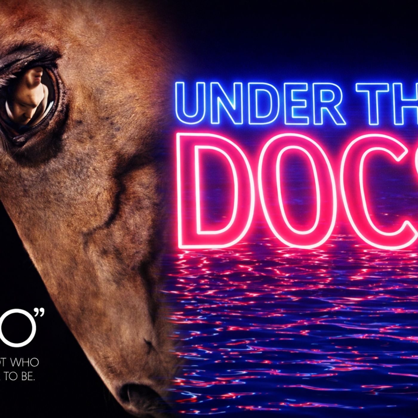 Zoo Documentary: The Death That Shocked America episode artwork