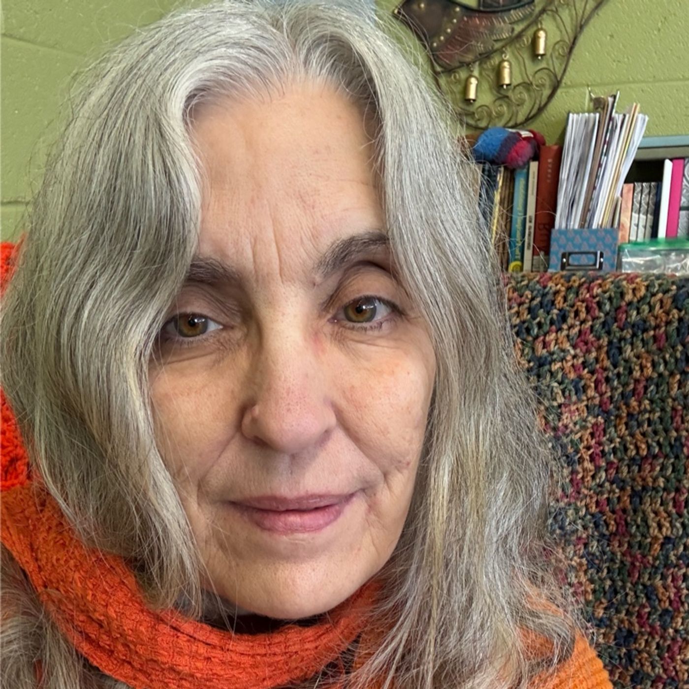 asking the question - embracing the answer. a wisdom circle satsang with Swamini Shraddhananda Saraswati 03022025 episode artwork