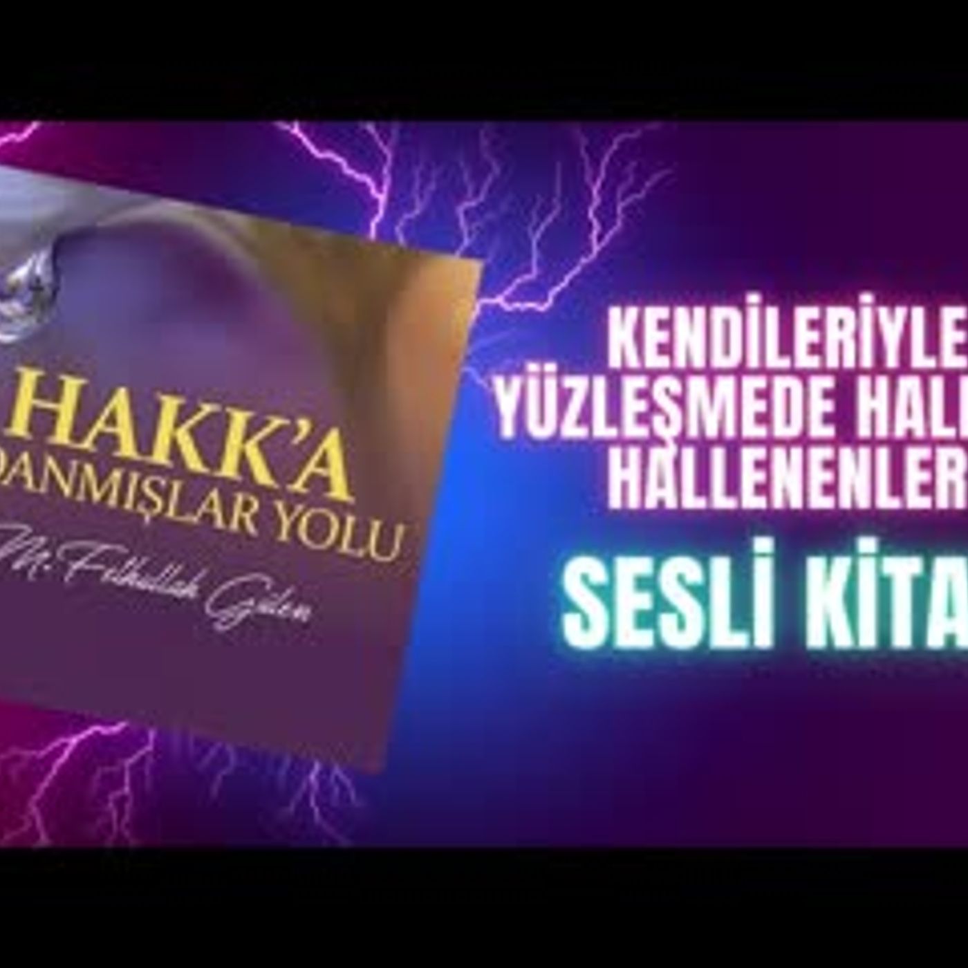 17.Kendileriyle Yüzleşmede Hale İle Hallenenler-Hakka Adanmışlar Yolu Sesli Kitap Fethullah Gülen episode artwork