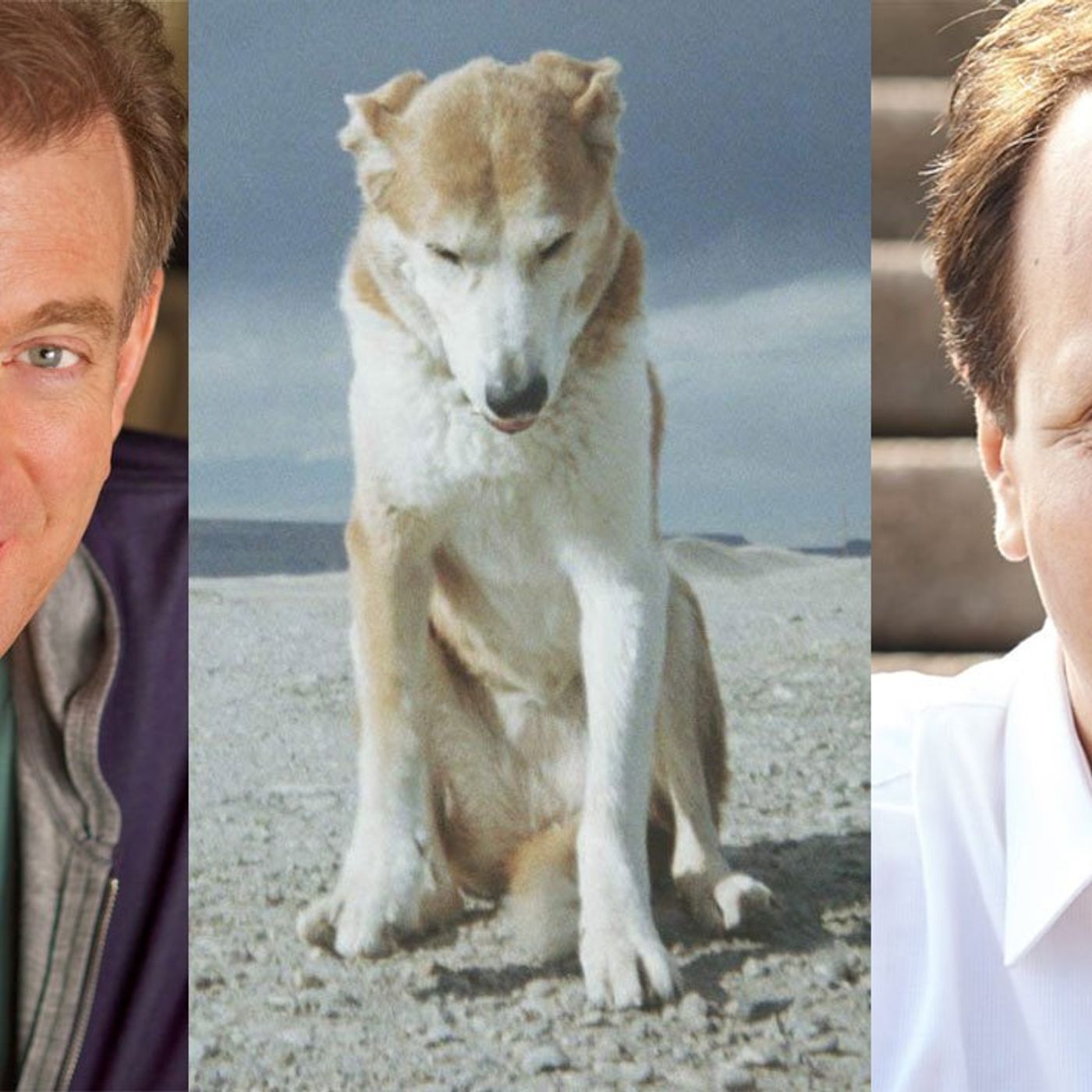 The WorkLife Podcast