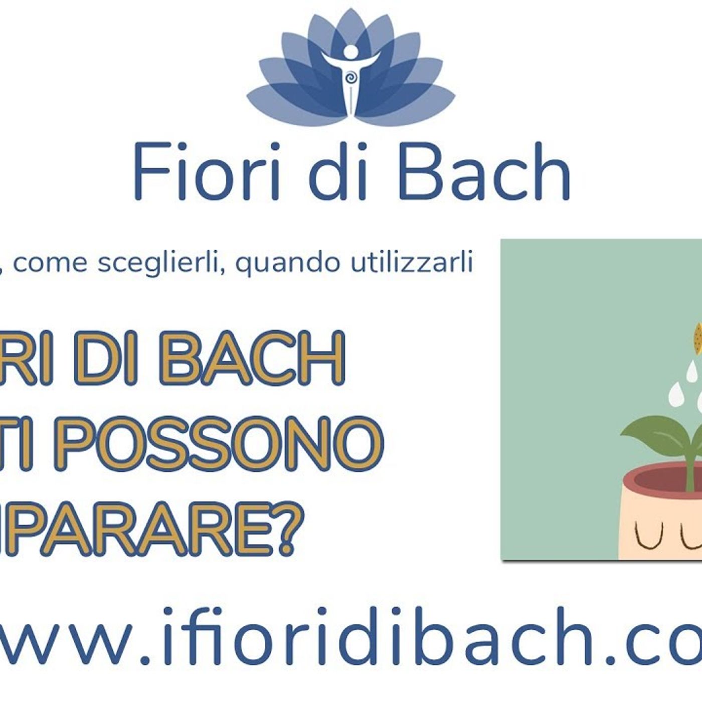 Fiori di Bach tutti possono imparare a somministrarsi i fiori? episode artwork