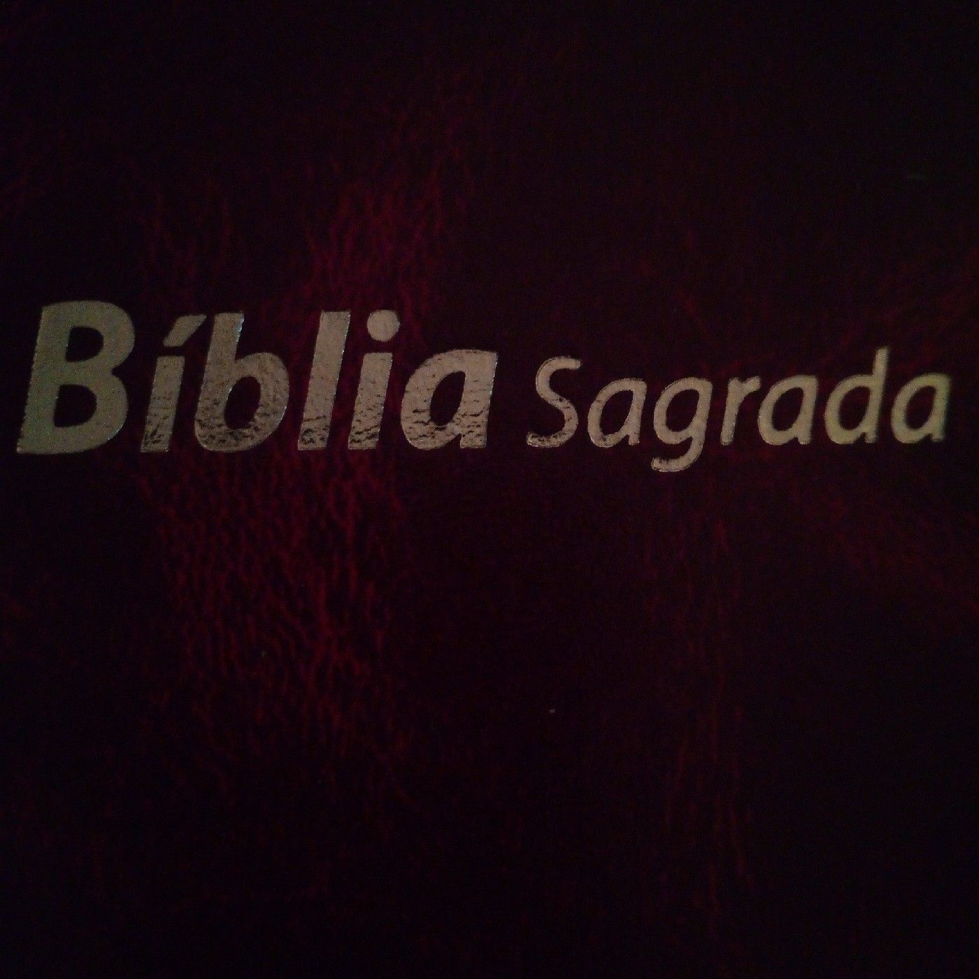 A Biblia Portugues