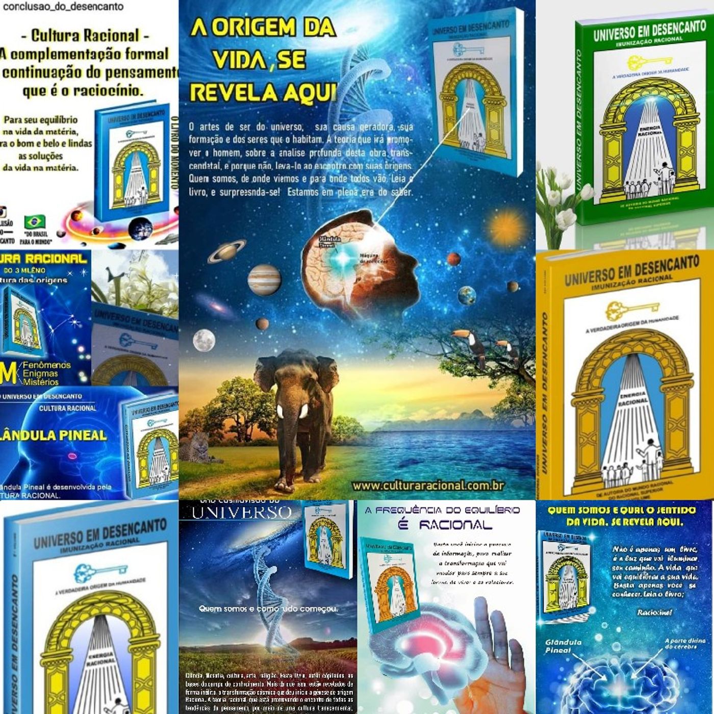 O ENCONTRO COM A NATUREZA RACIONAL episode artwork