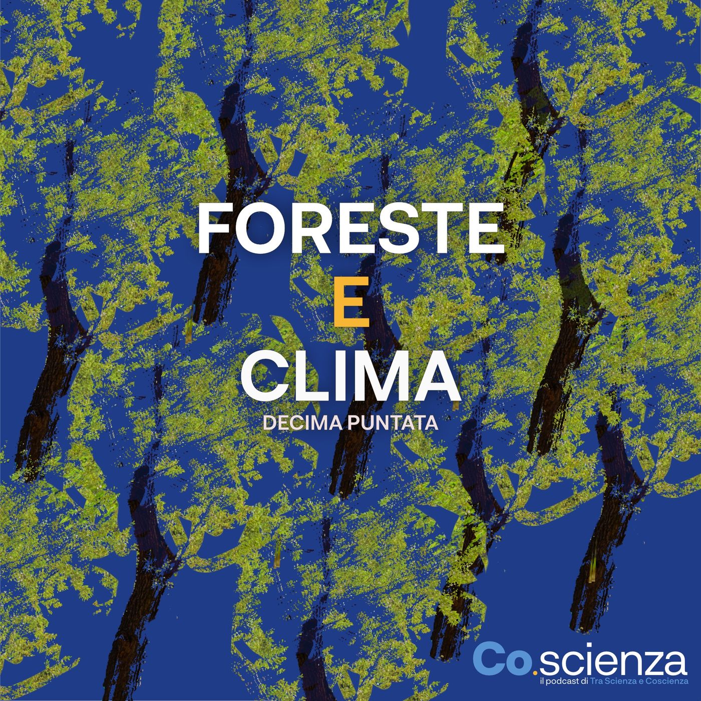 Co.Scienza