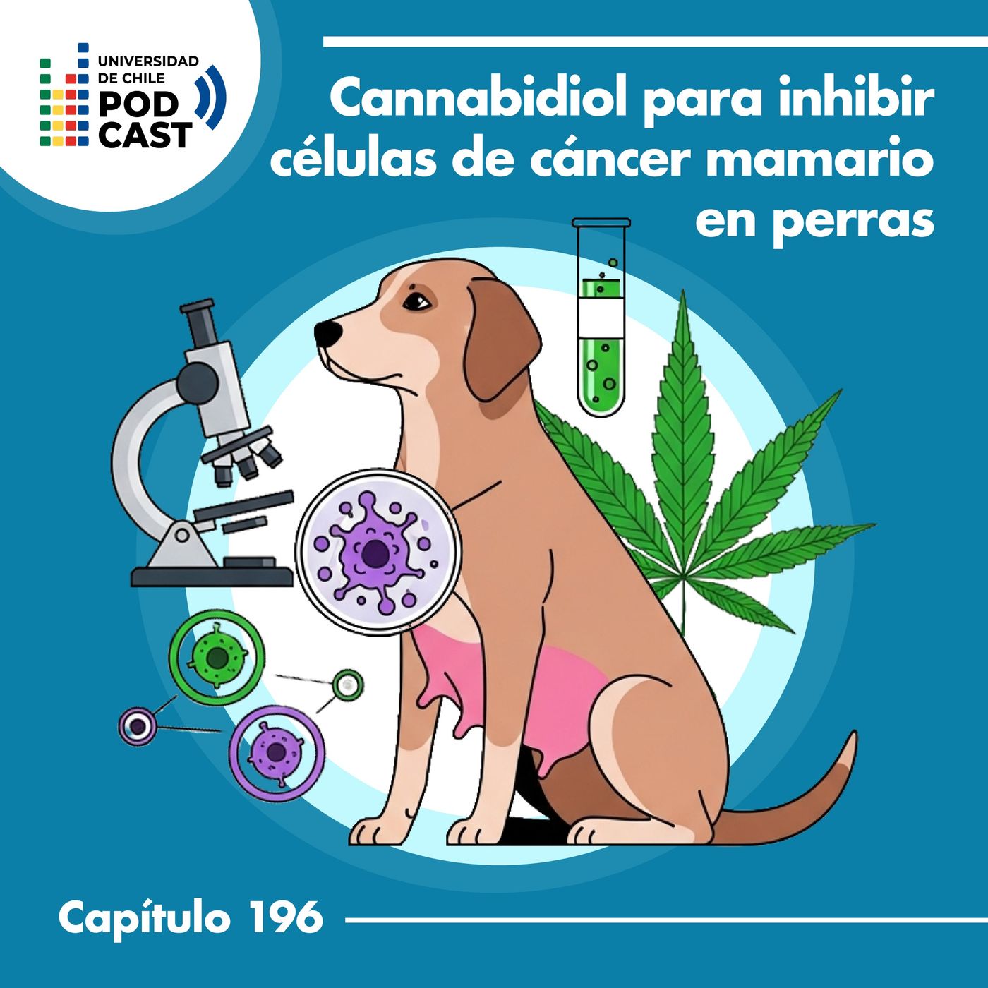 Cannabidiol para inhibir células de cáncer mamario en perras