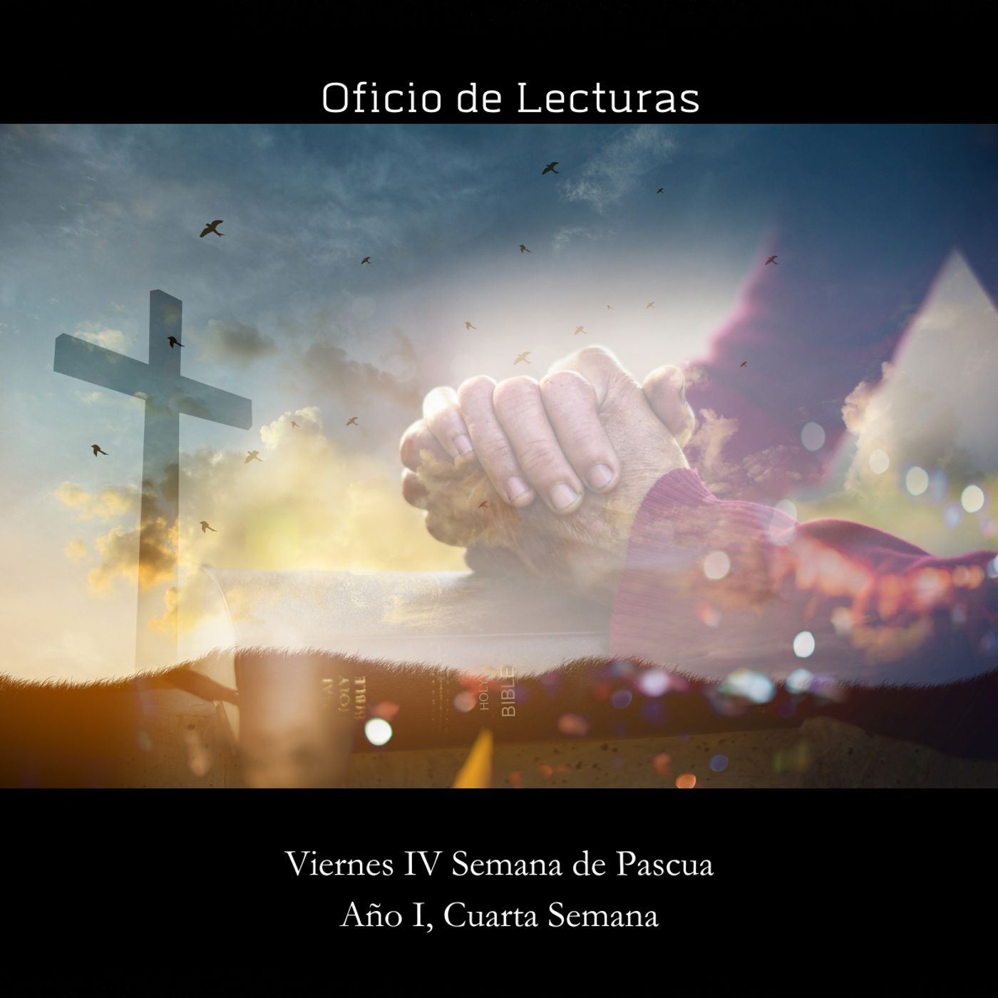 Viernes IV Semana de Pascua episode artwork