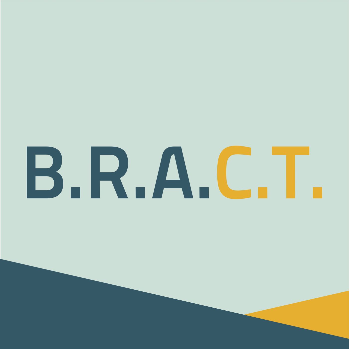 I podcast degli artisti B.R.A.C.T.