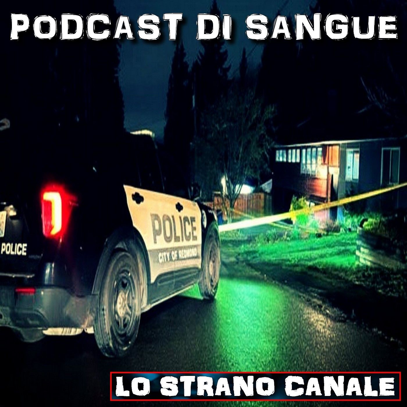 cover of episode PODCAST DI SANGUE - Zohre Sadeghi (Lo Strano Canale Podcast)