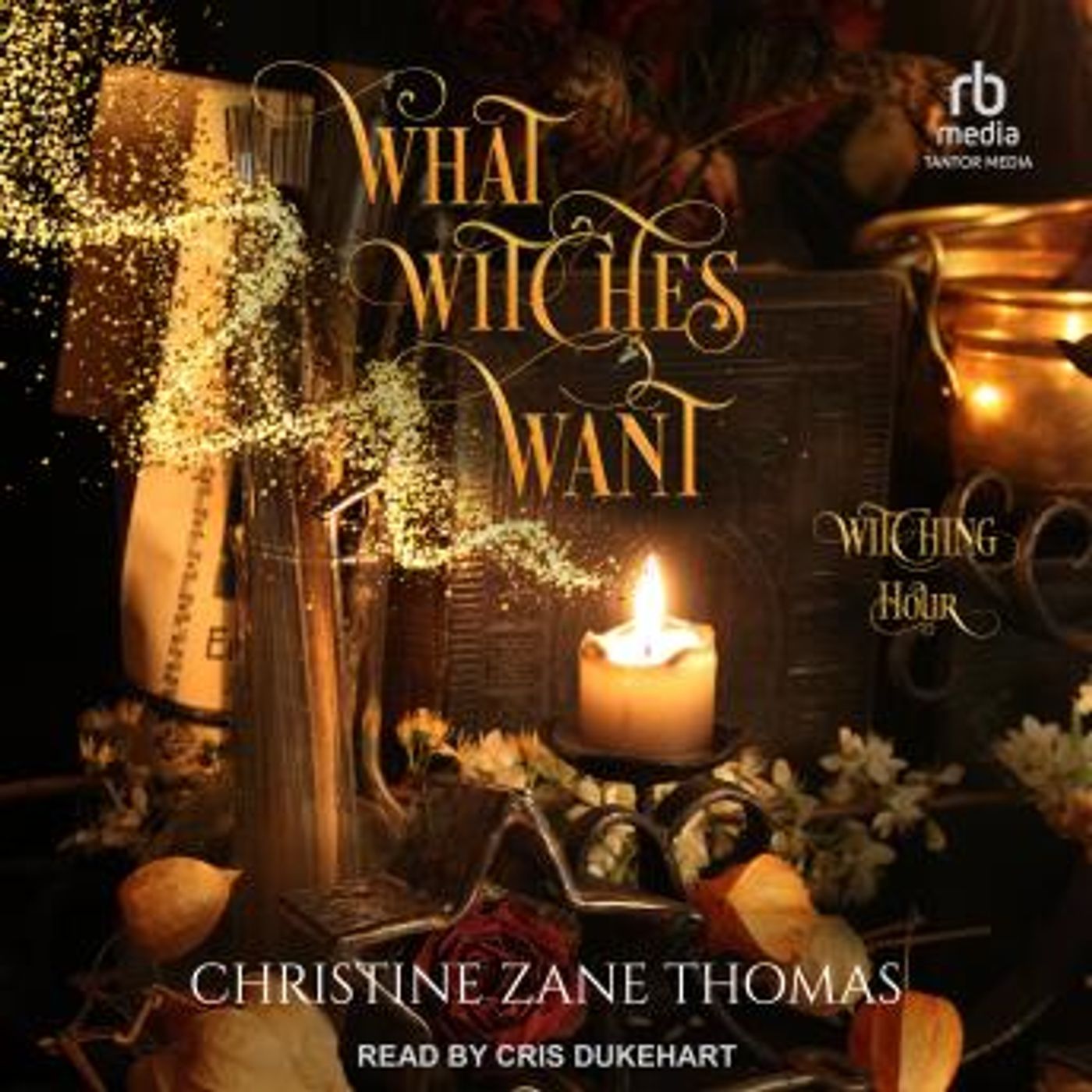 Download Best Full-Length Audiobooks in Mystery, Thriller & Horror, Police & Detective