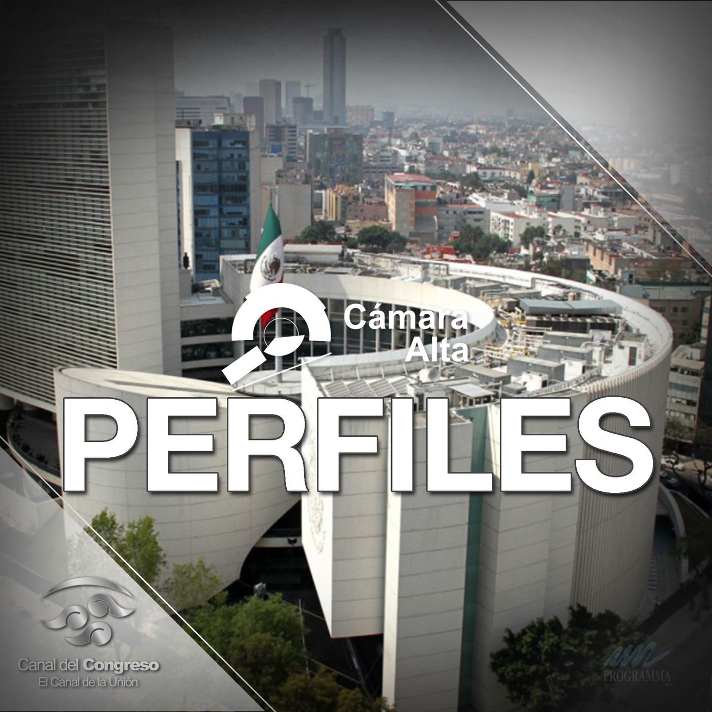 Perfiles