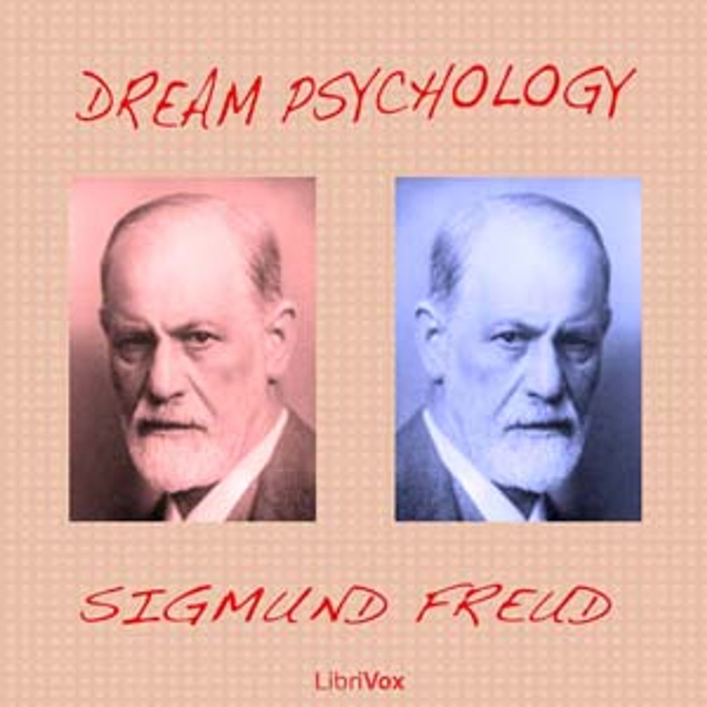 Dream Psychology by Sigmund Freud (1856 - 1939)