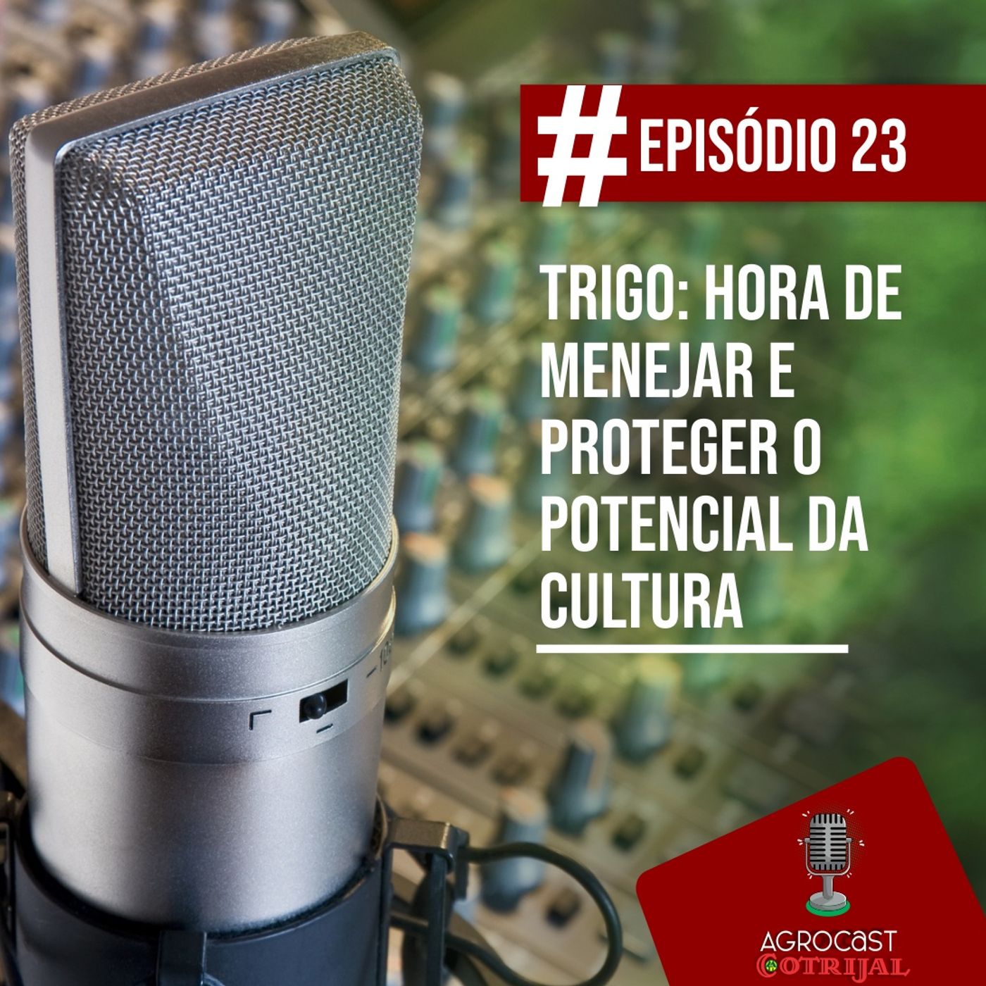 AgroCast Cotrijal