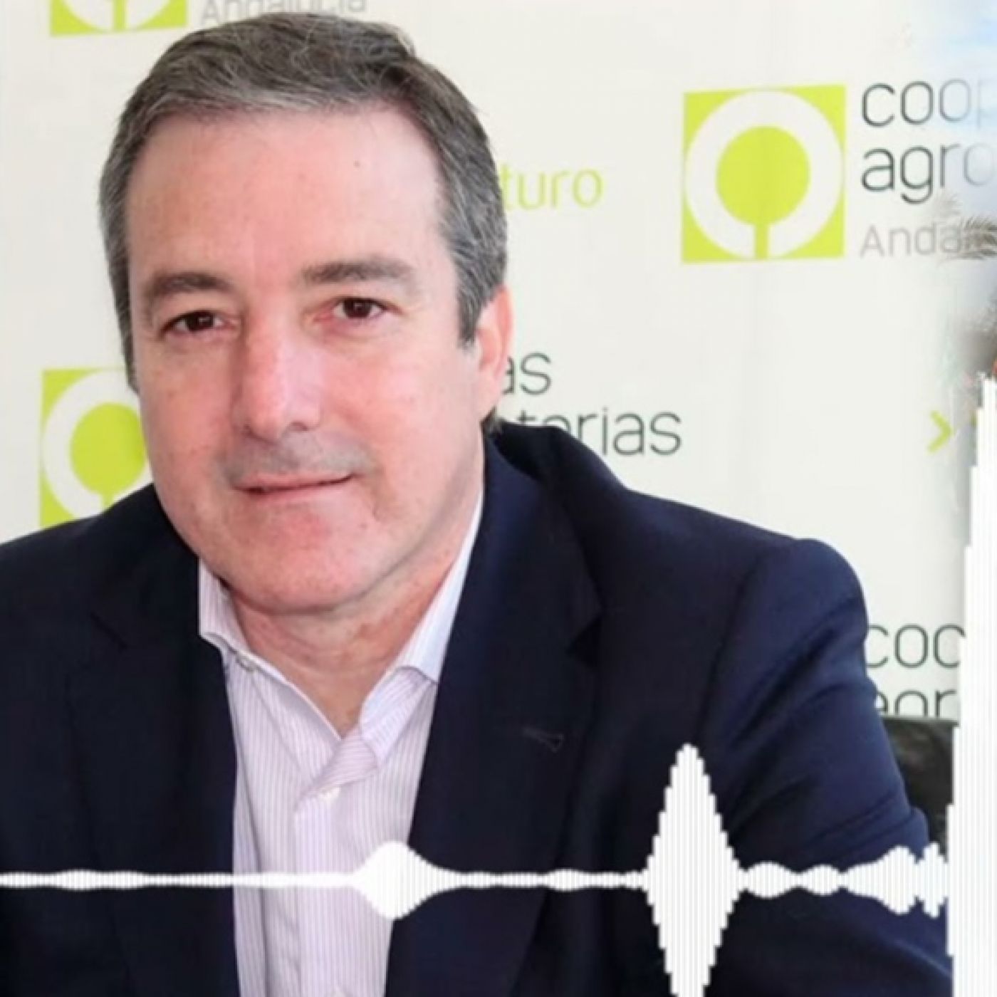 Andalucía Capital-Diego García Cabello