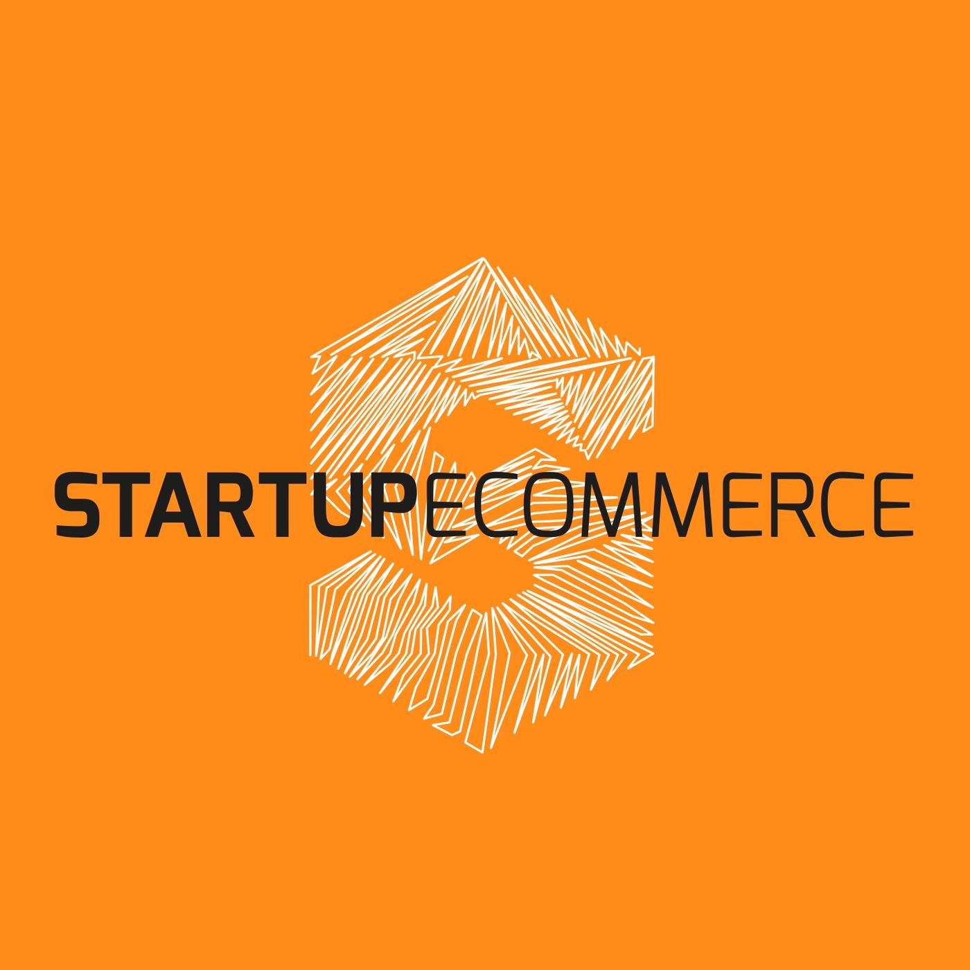 Startup Ecommerce: Shopify Amazon FBA