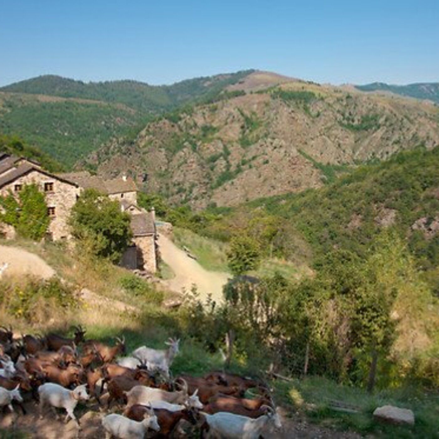 Emission Occitana : La vida en Cevenas per lo Cors Colette